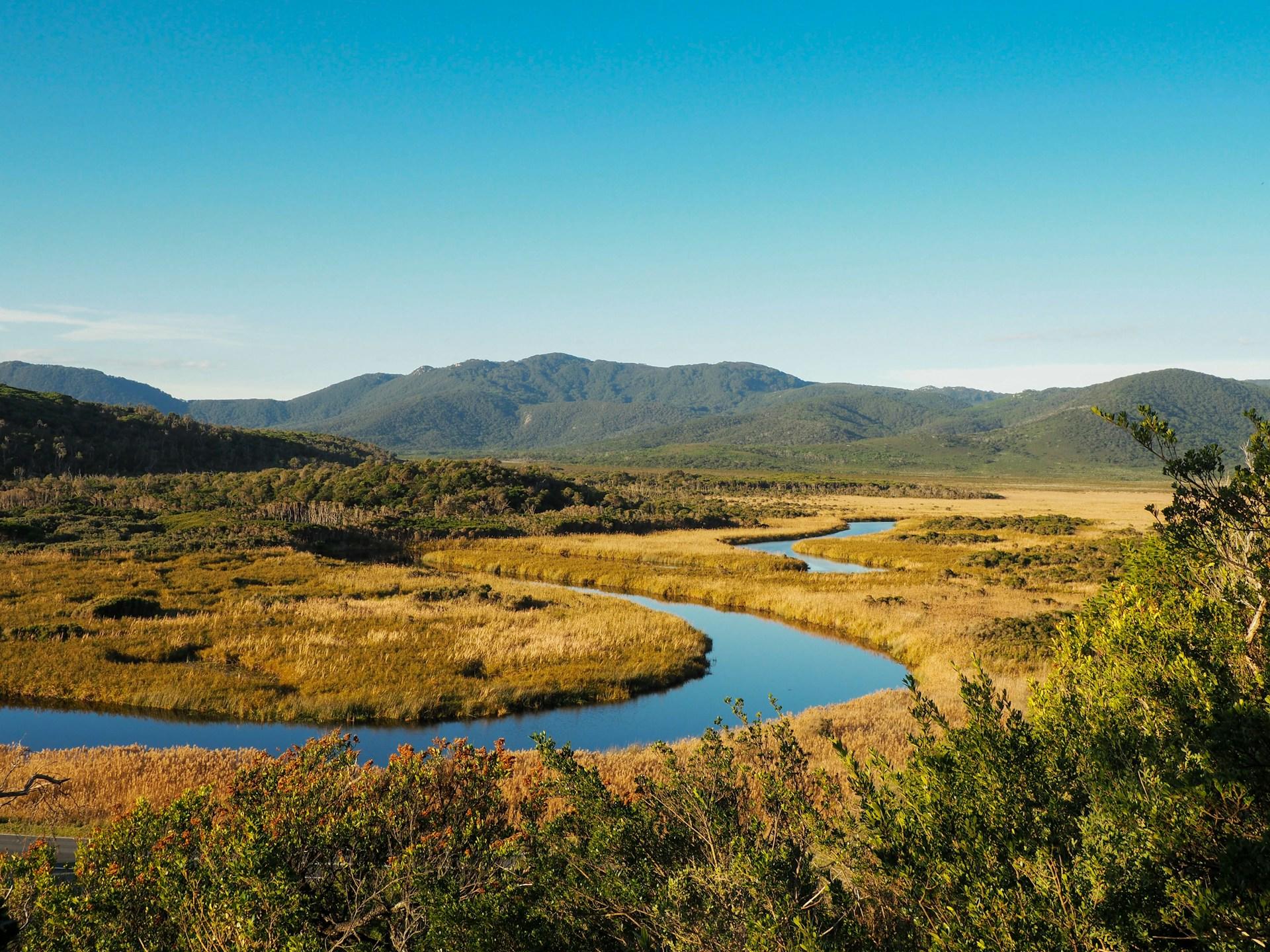 A flat, calm stretch of the Darby River at Wilsons Prom, with golden vegetation lining its banks and green-covered hillocks visible behind it. 