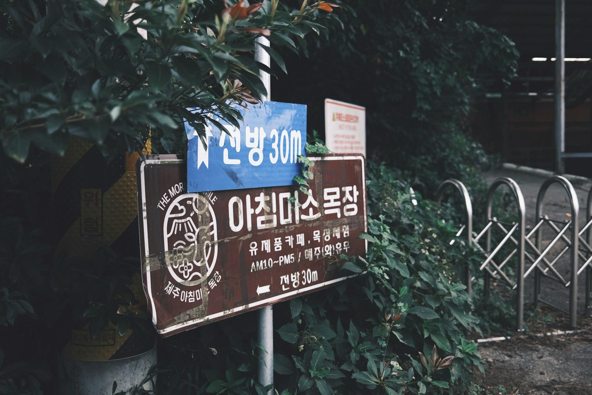 A brown directional sign with writing in Korean in white paint and a blue sign, also with Korean writing in white letters, advertising an attraction 30 metres away.