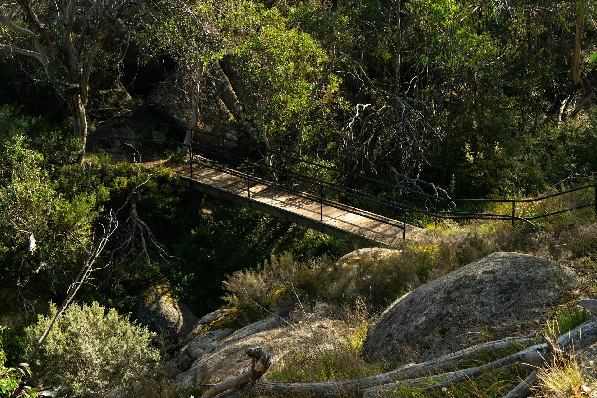 Sunlight dapples a wooden plank bridge with black handrails as it crosses over a gully lined with green vegetation leading to Lake Catani.