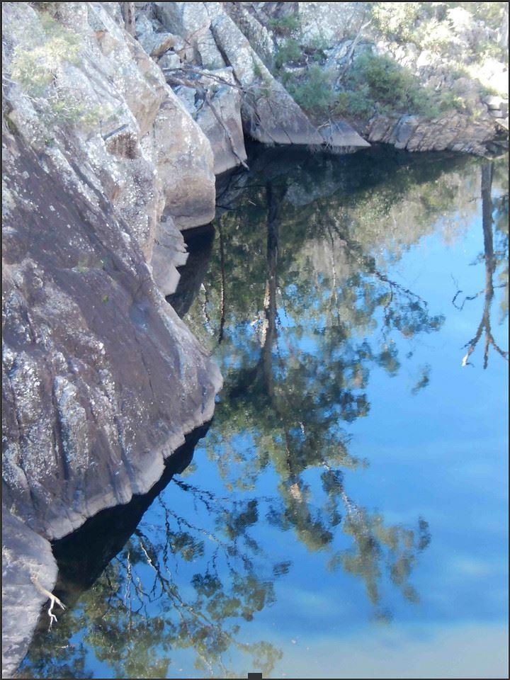 Overhead foliage and a clear blue sky reflect in a swimming hole lined with large stone cliffs on a sunny day. 