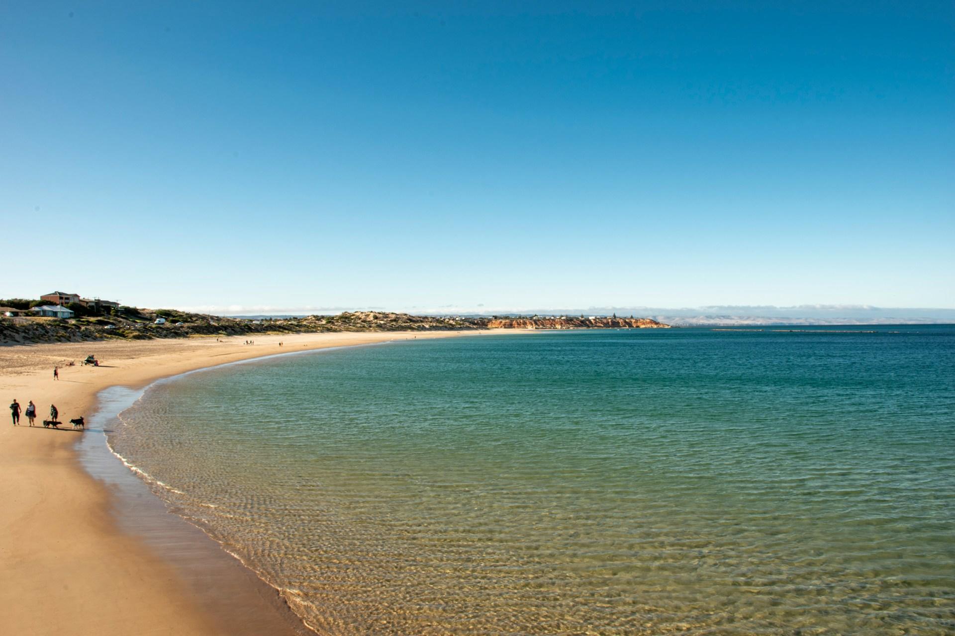 A distance shot of Port Noalunga Beach under a clear blue sky, with several people and two dogs ambling along the waterline. 