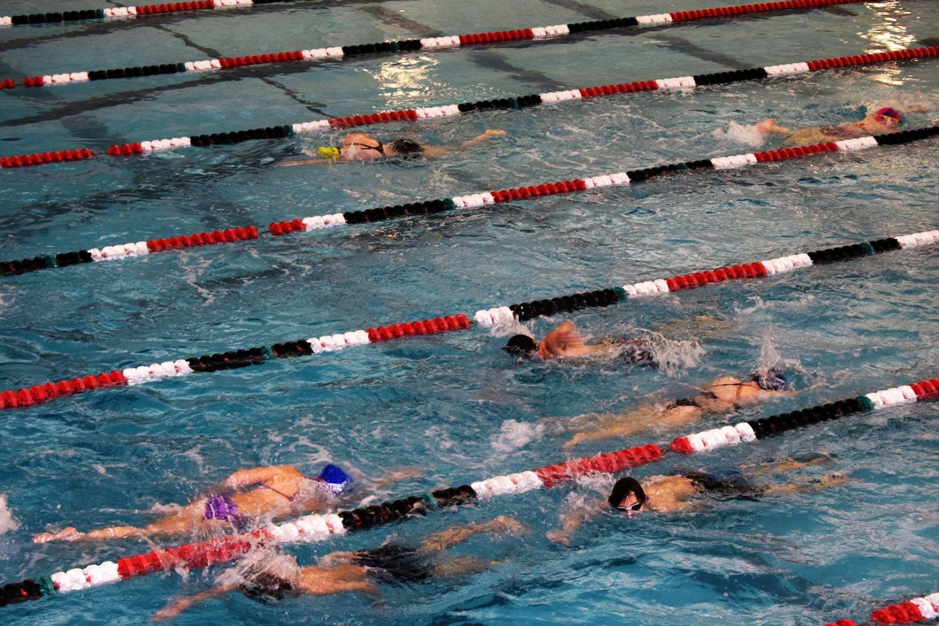 Several busy lanes in a swimming pool.