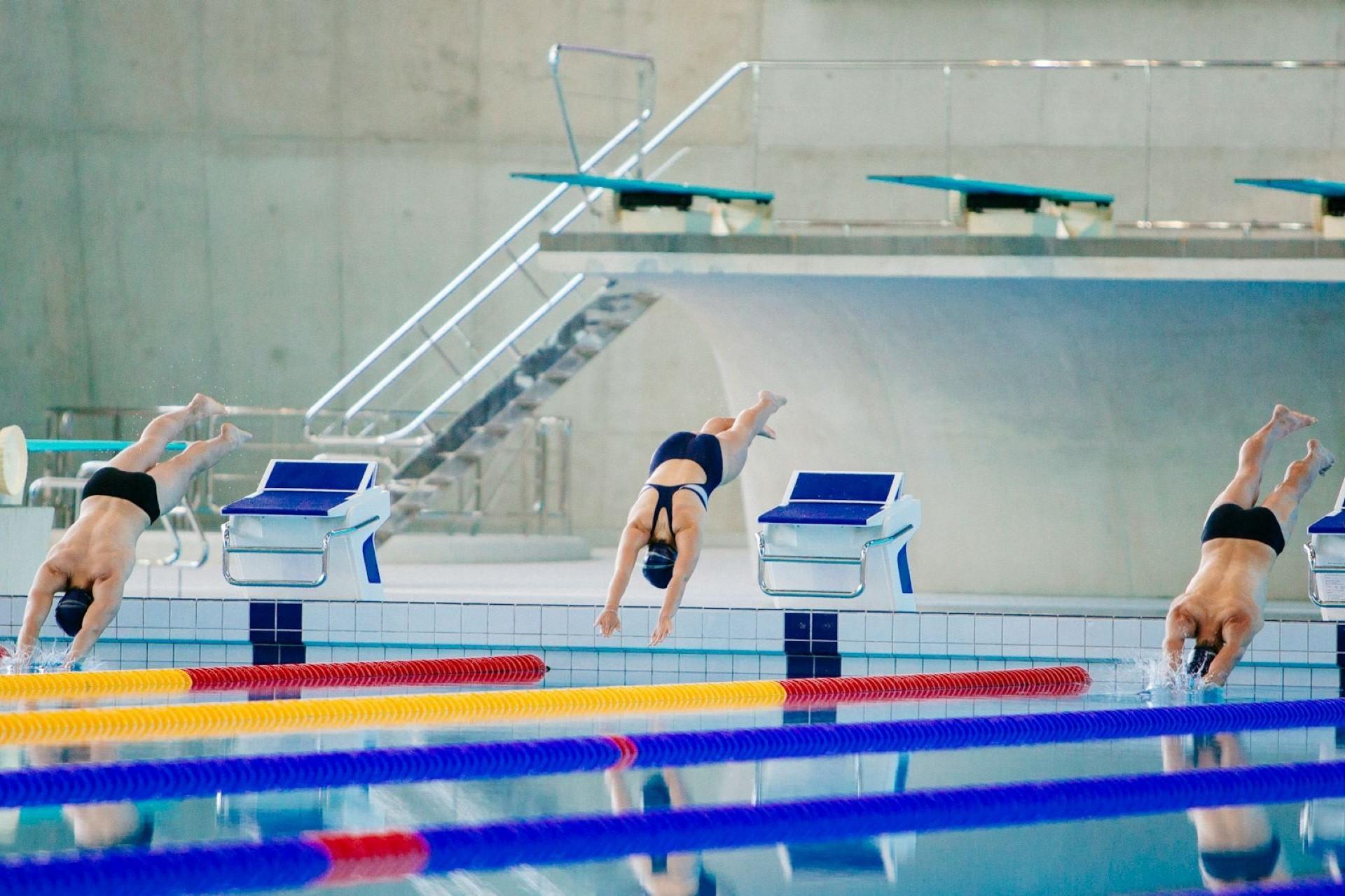 Several swimmers diving into a pool simultaneously.