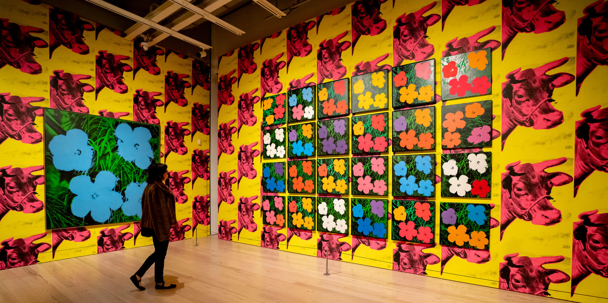A large room with red and yellow walls featuring red bulls.