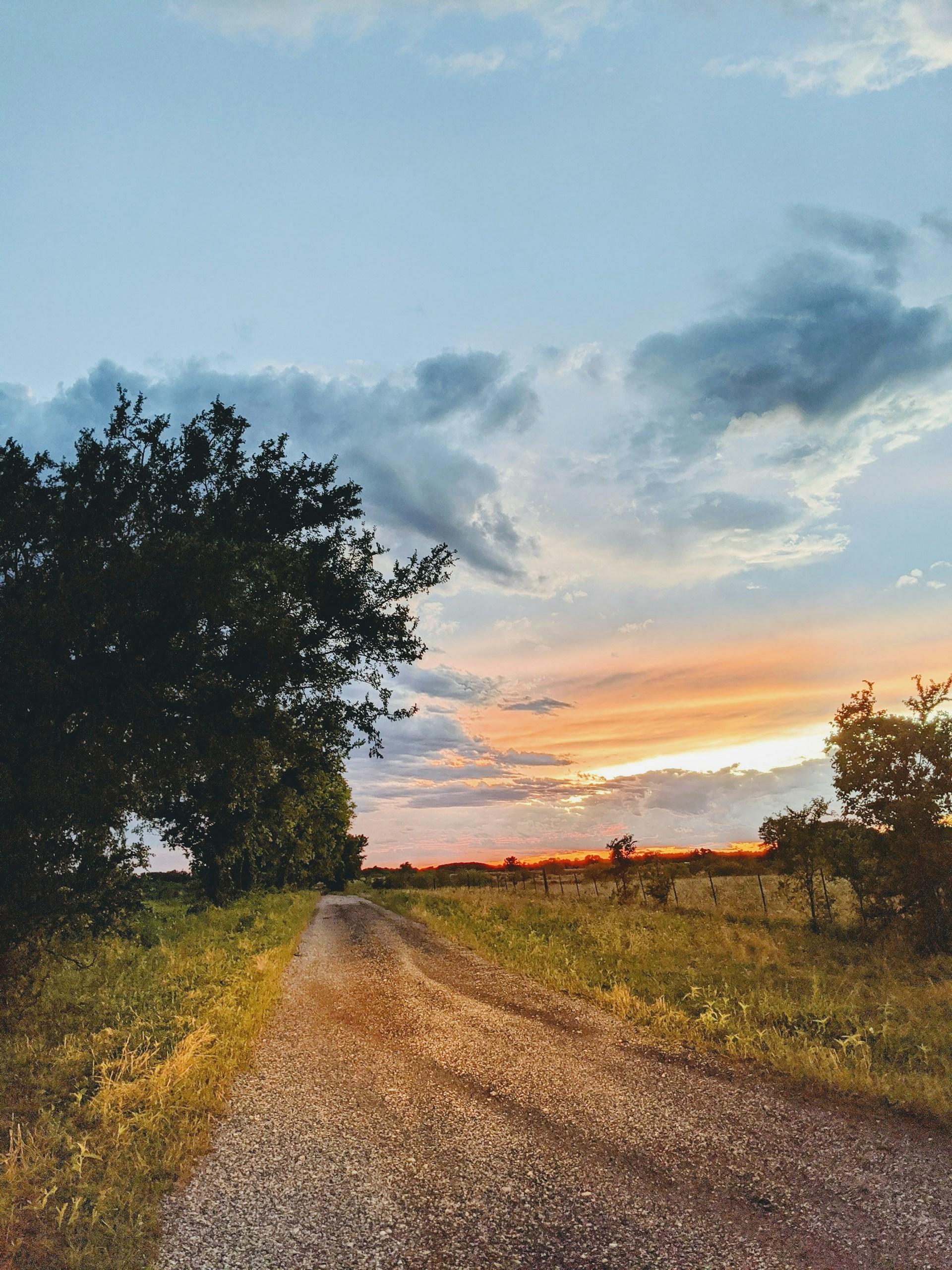 An open prairie with a tree in the background at sunset. 