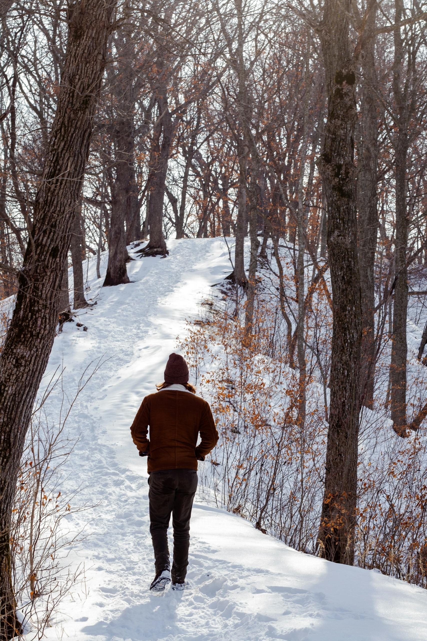 A person walked in a snowy forest on a sunny day. 