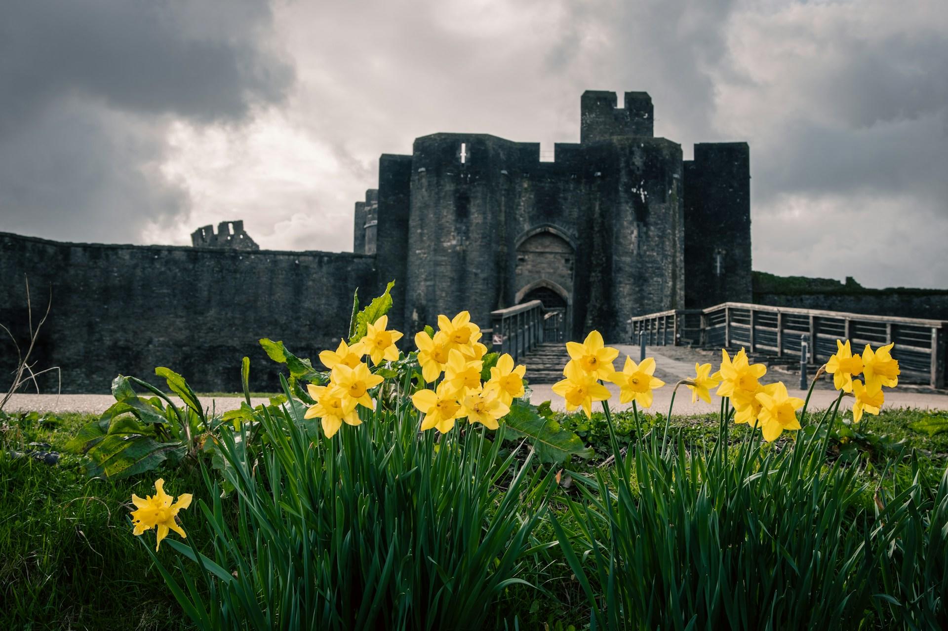 A castle by some daffodils.