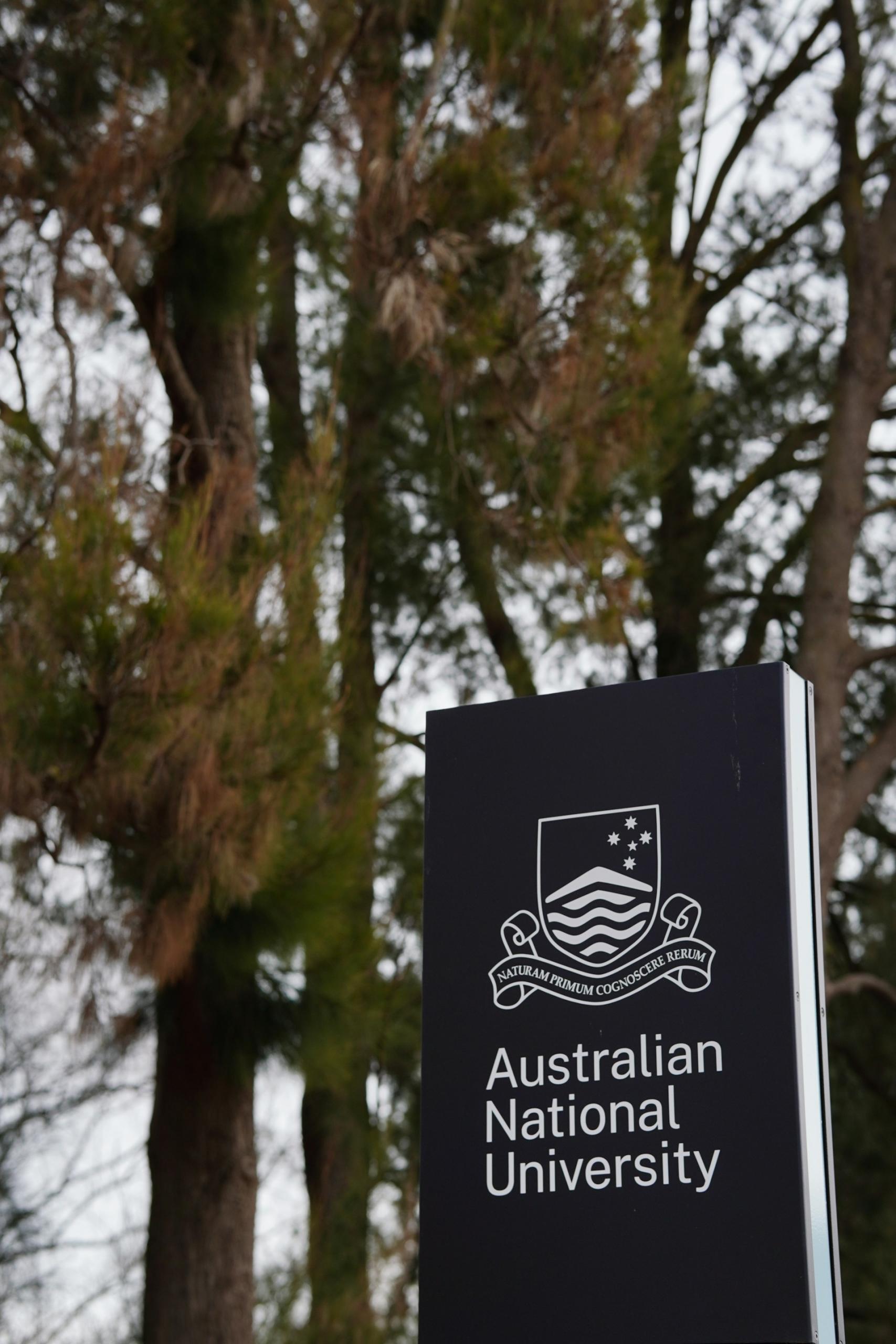 A black sign with white lettering surrounded by trees. 