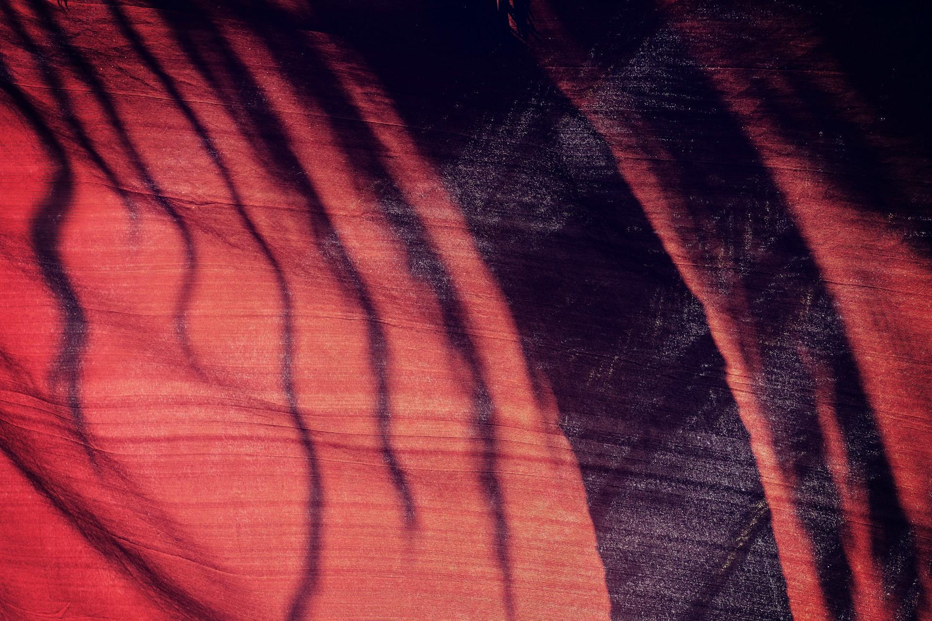 A palm tree through fabric.