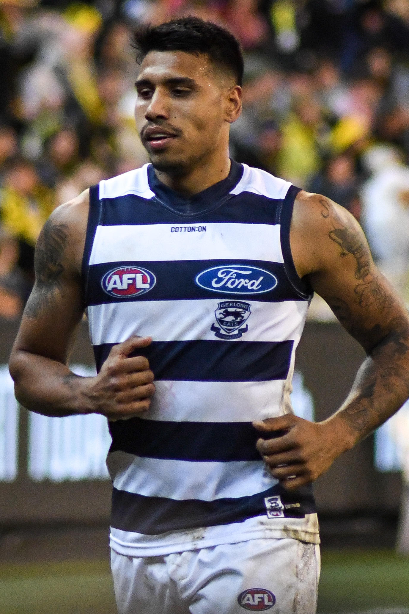 Tim Kelly