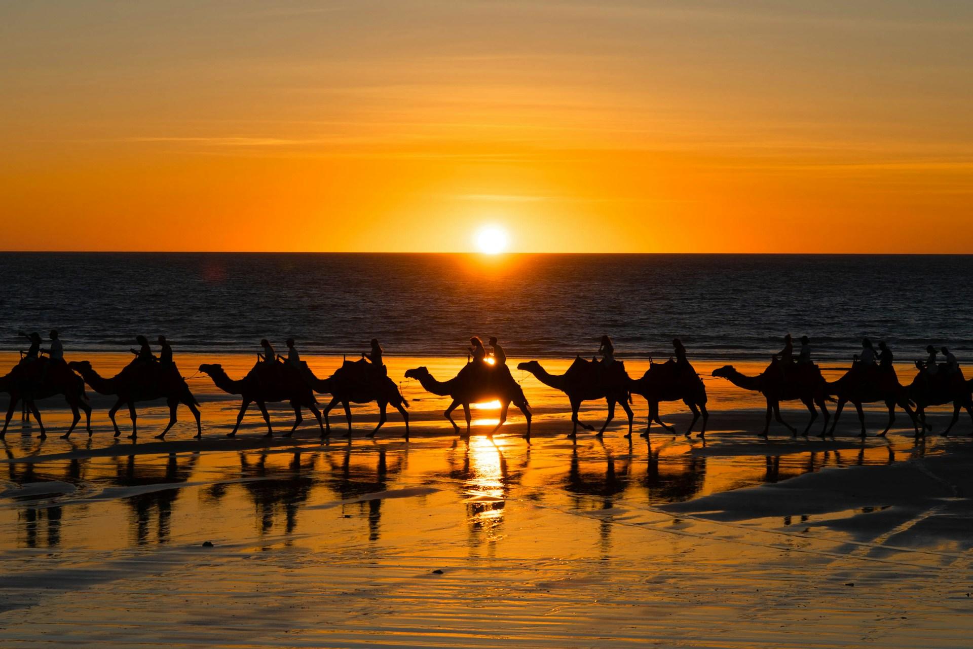 A line of camels with riders on a beach at sunset. 