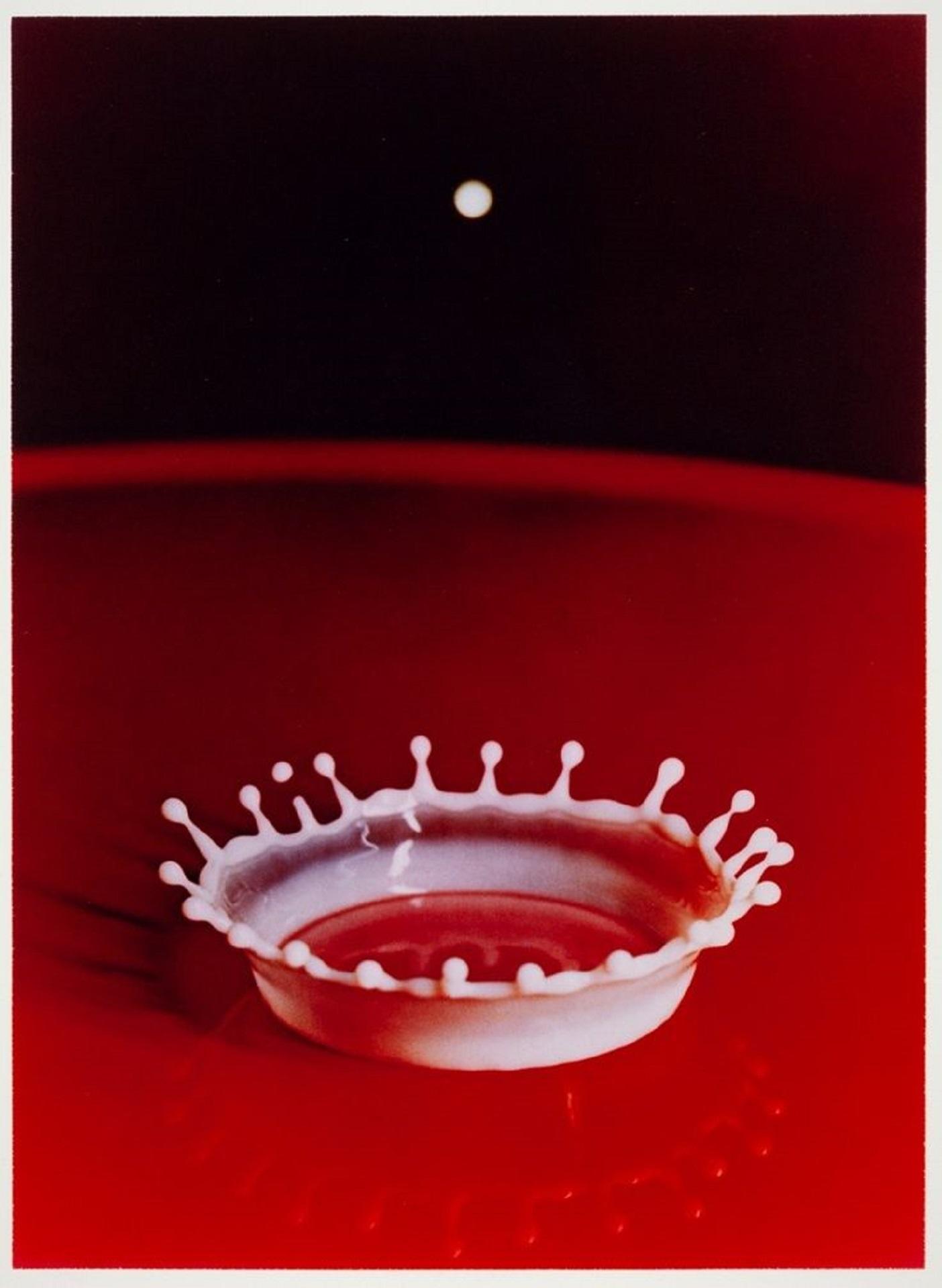 A white splash coronet against a red background.