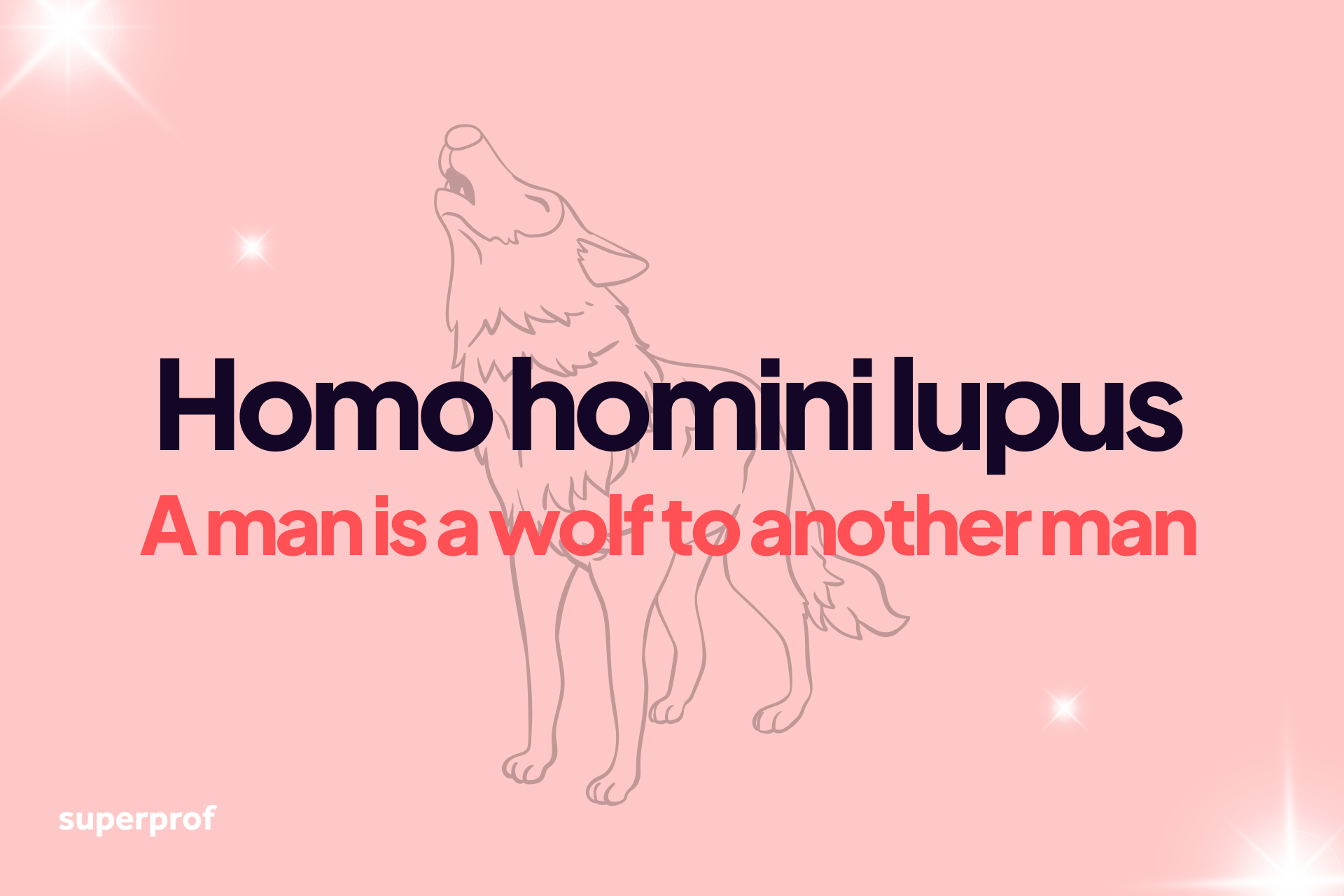Text reading "Homo homini lupus" with a wolf illustration and english translation: a man is a wolf to another man
