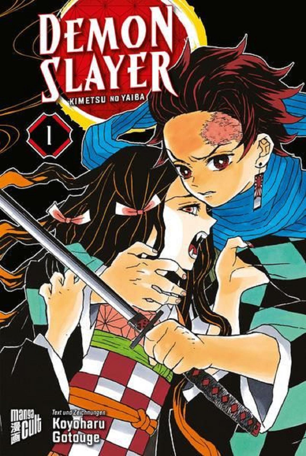 A comic book cover featuring a character holding a sword.