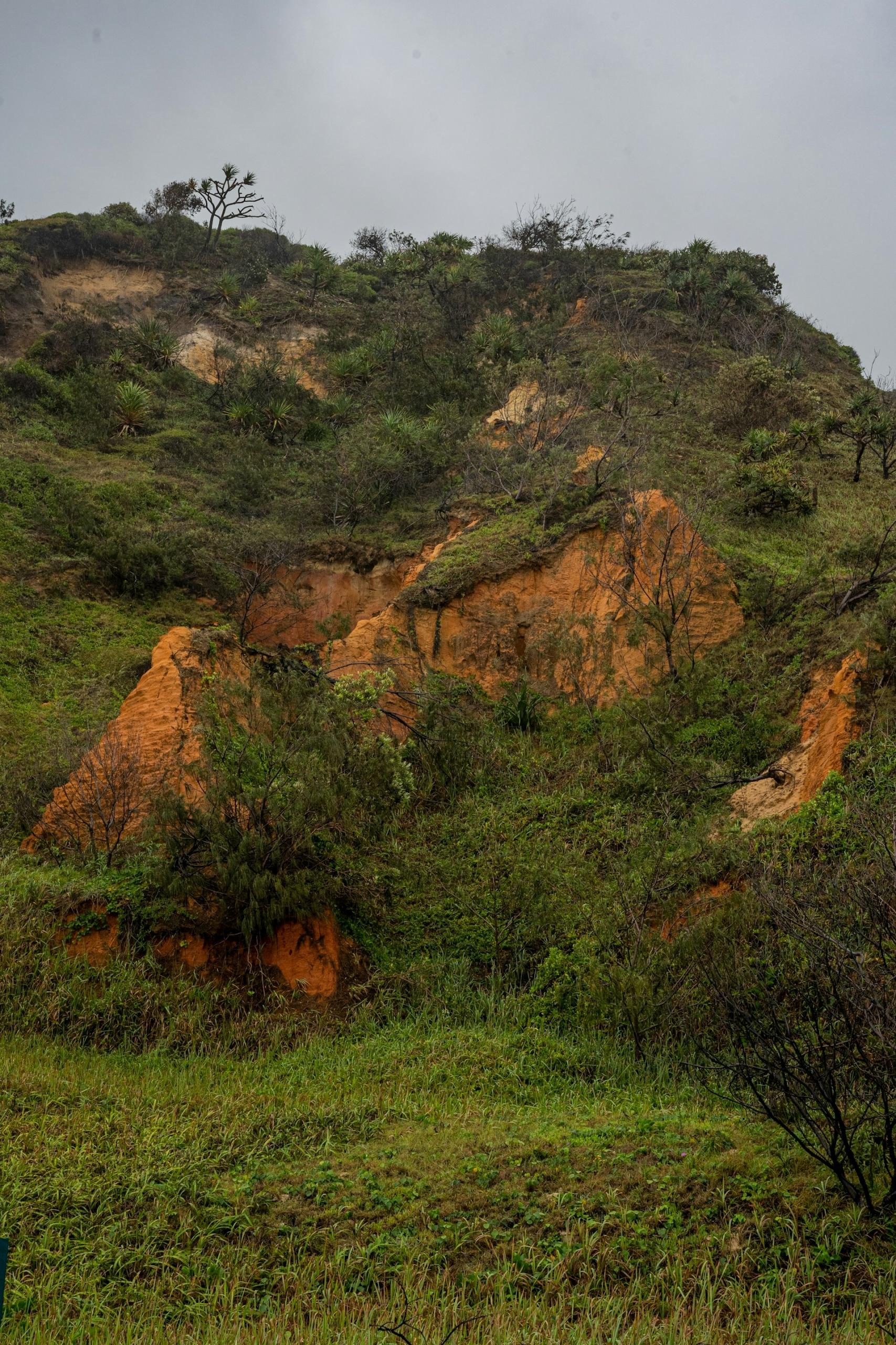 A landscape with red soil and greenery on a cloudy day. 