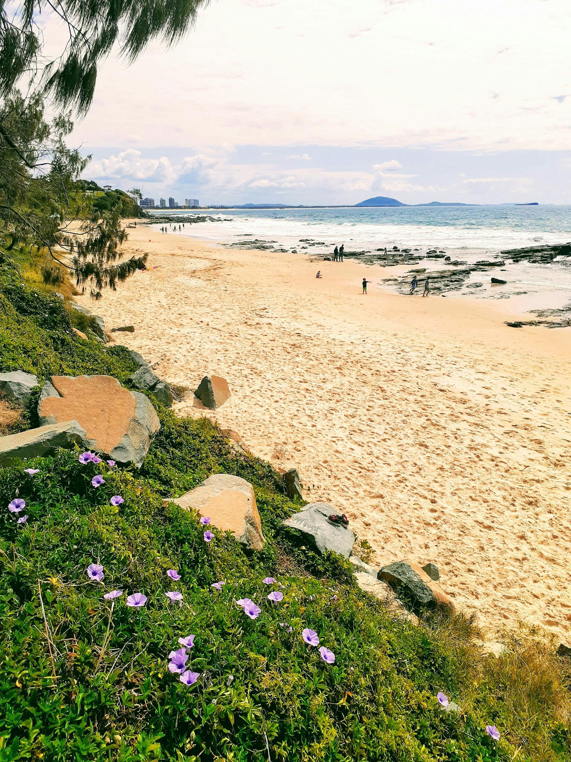 A beach with greenery on a cloudy day. 