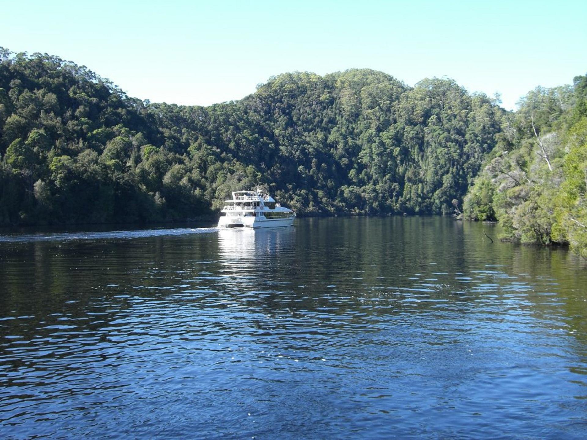 A white boat cruises on a driver on a sunny day. 