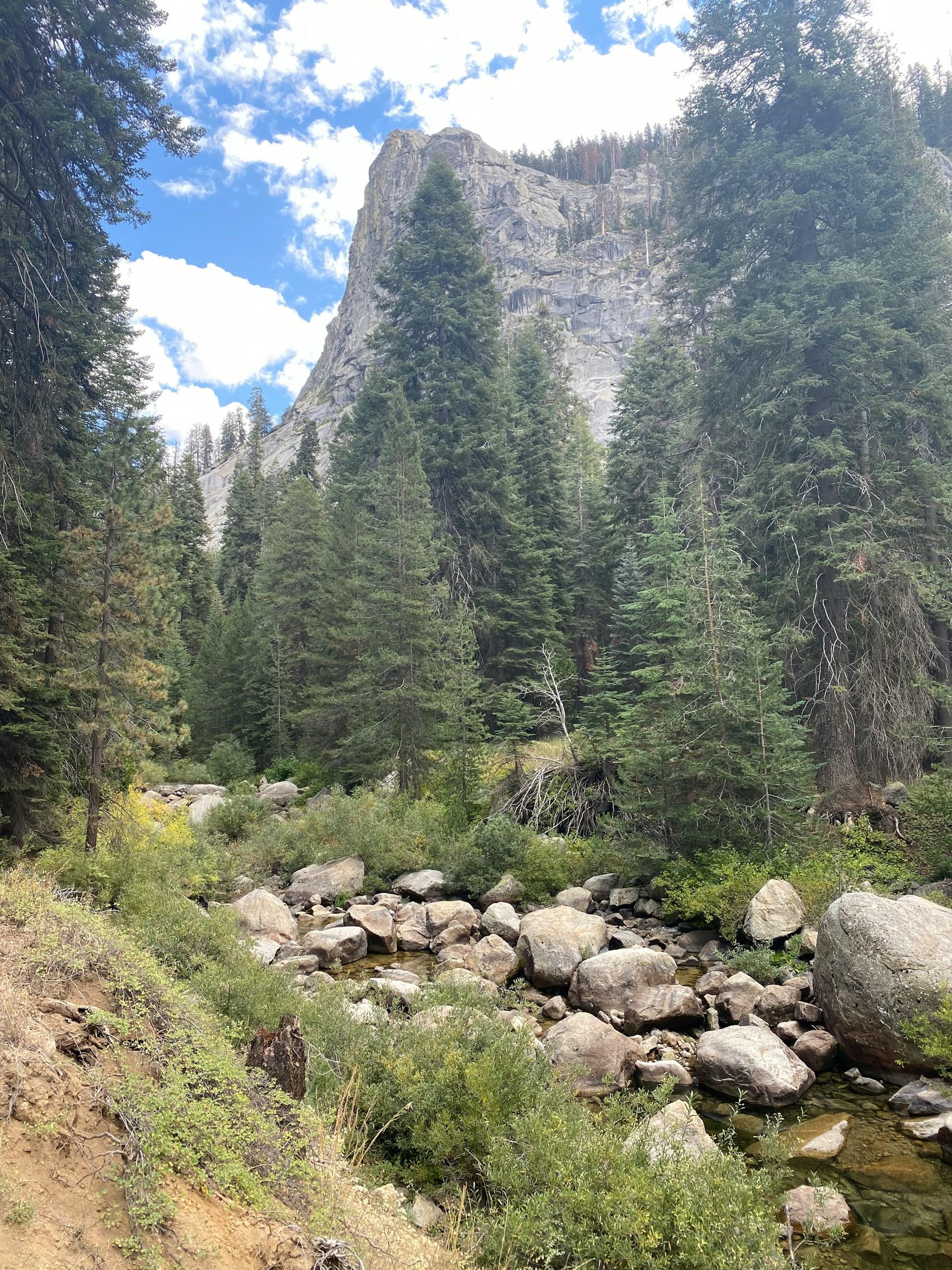 A nature scene featuring trees, rocks, and a mountain on a sunny day. 