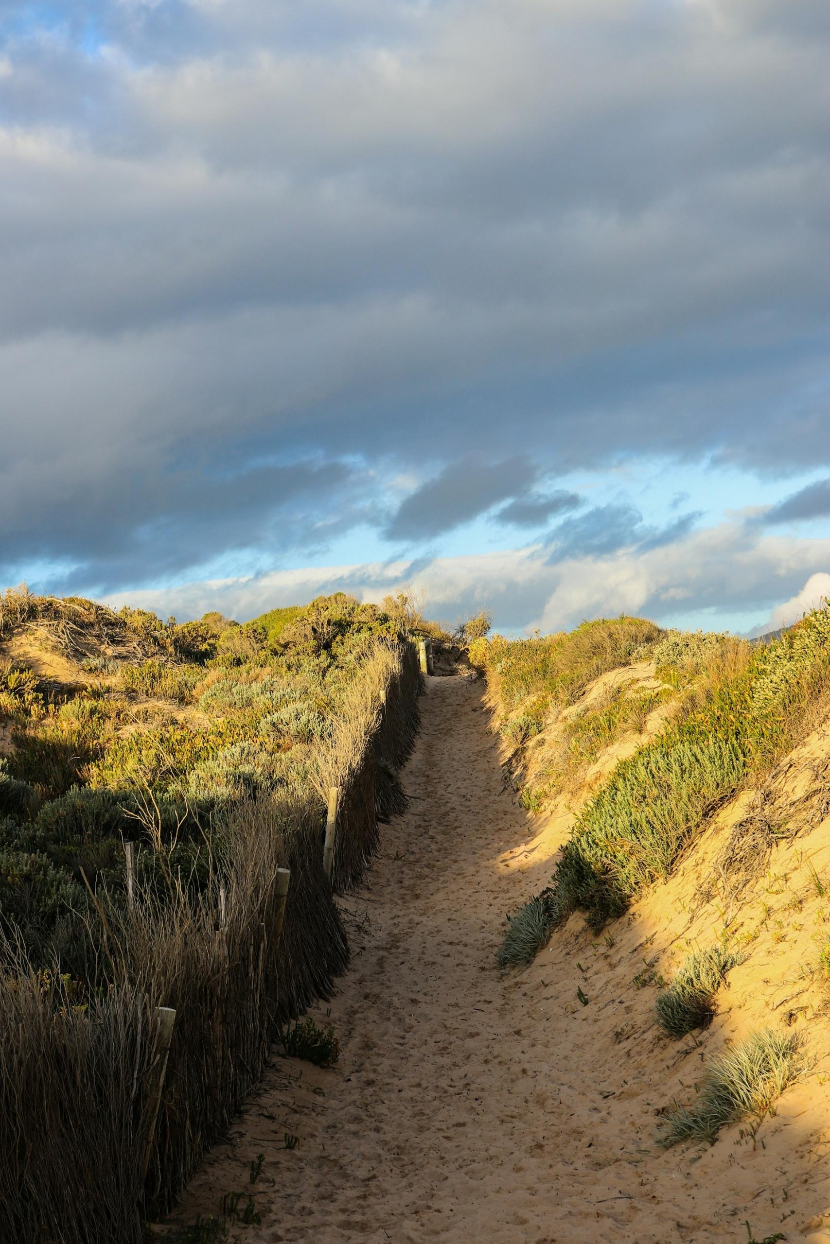 A sandy trail uphill, flanked by greenery, on a cloudy day. 