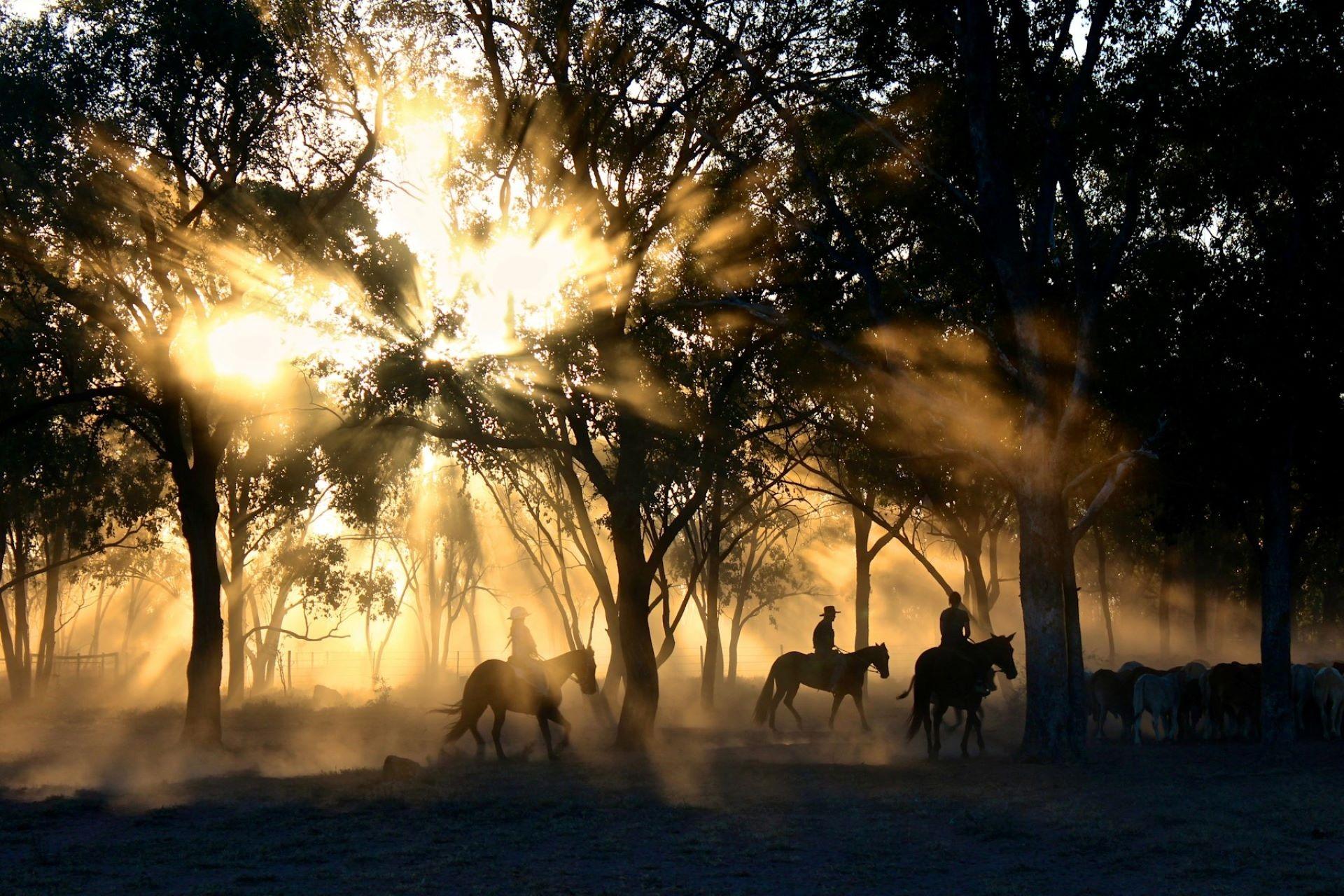 A view of the horsemen in the Australian outback.