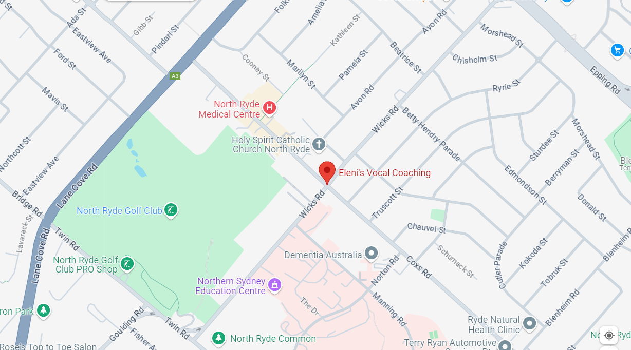 A close-up of a city map showing a green space and a location pointer. 