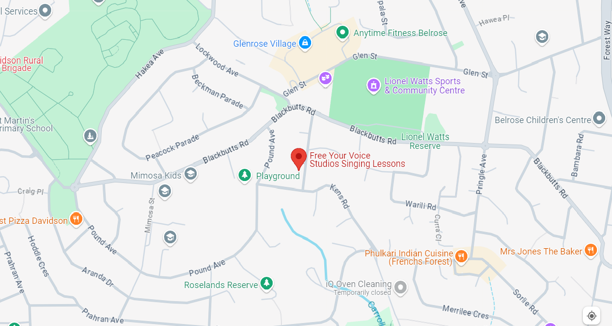 A closeup of a map showing two parks and a red pointer at a specific location.