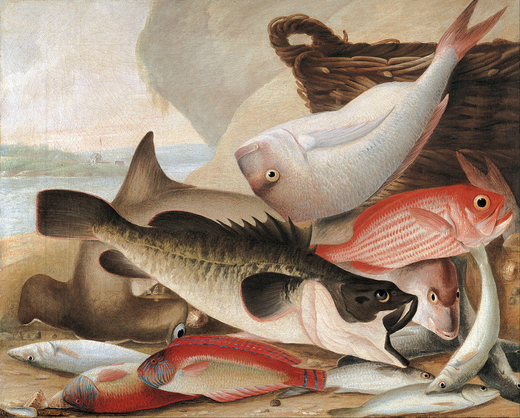 Fish catch and Dawes Point, Sydney Harbour (c. 1813) by John Lewin