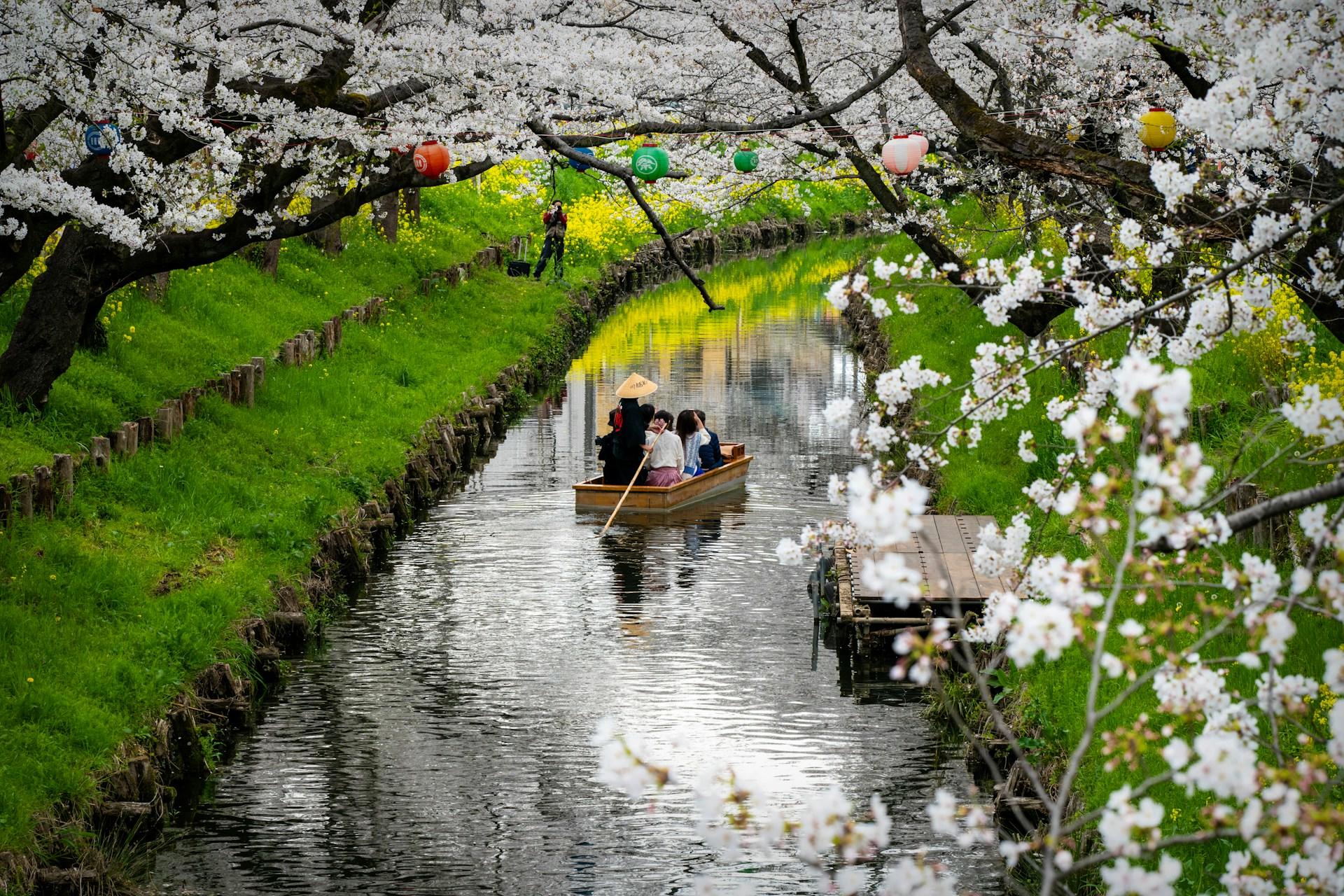 A small wooden boat on a narrow stream lined with grassy banks on a sunny day.