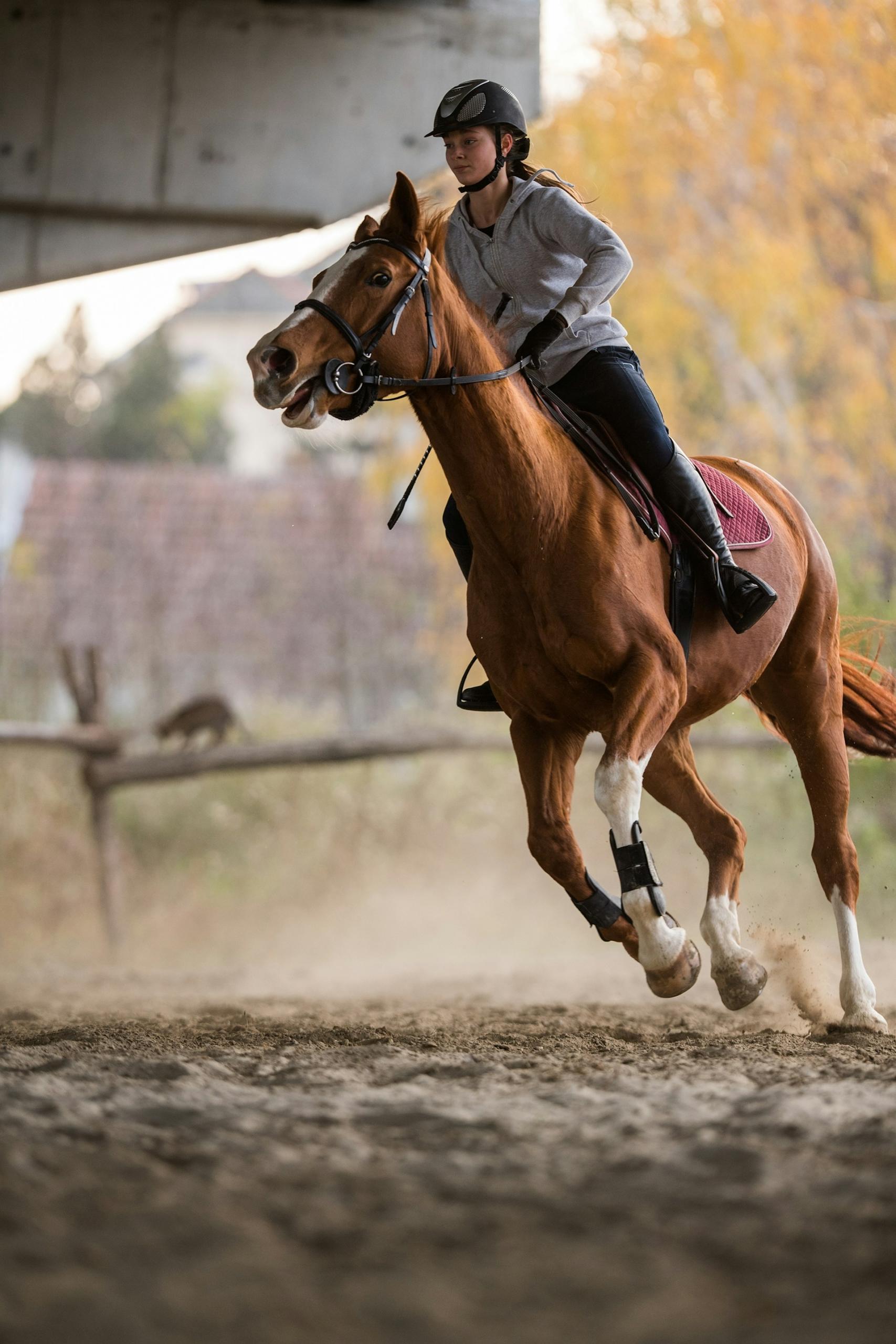 A girl with a helmet on rides a horse in a training ring.