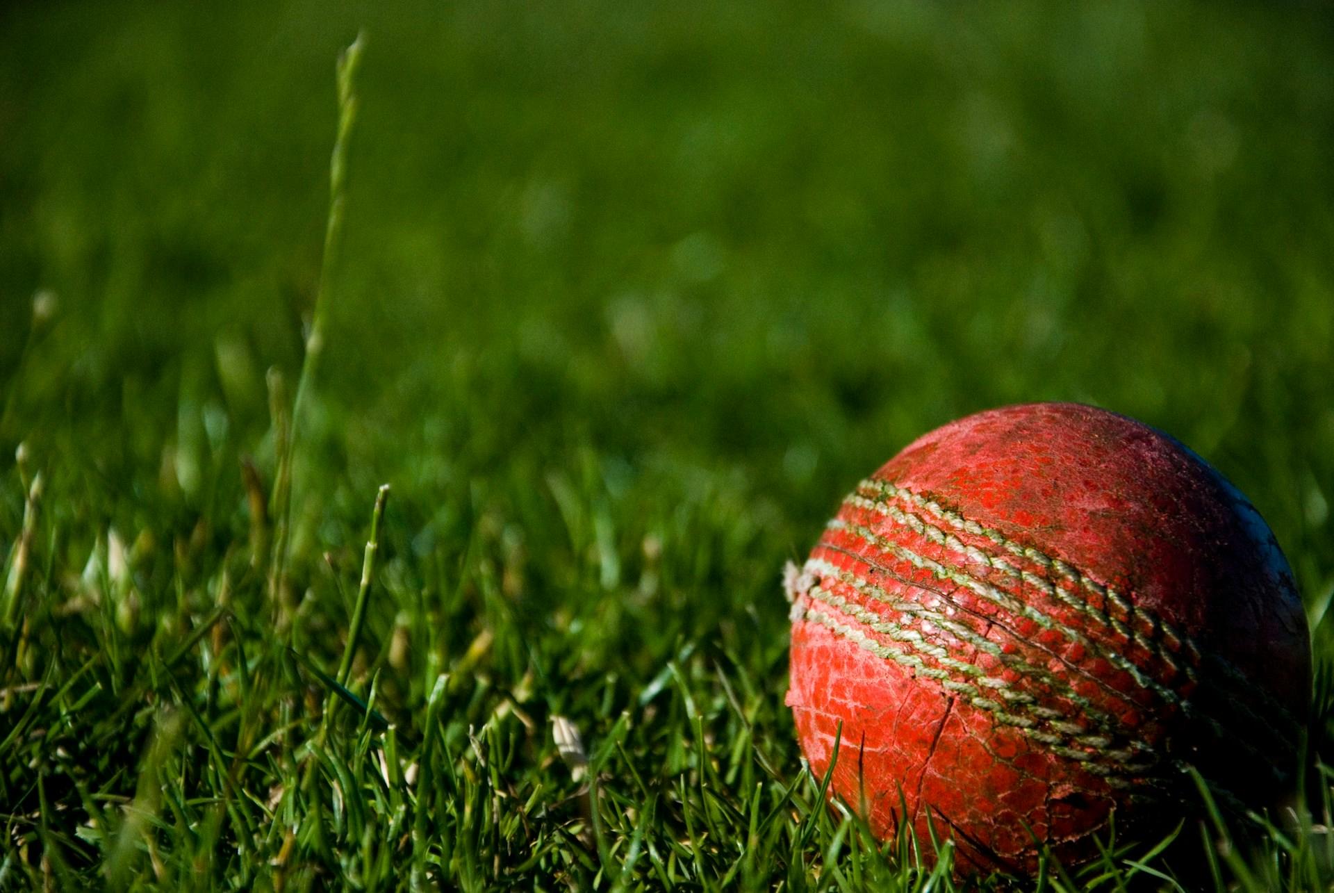 A cricket ball on grass.
