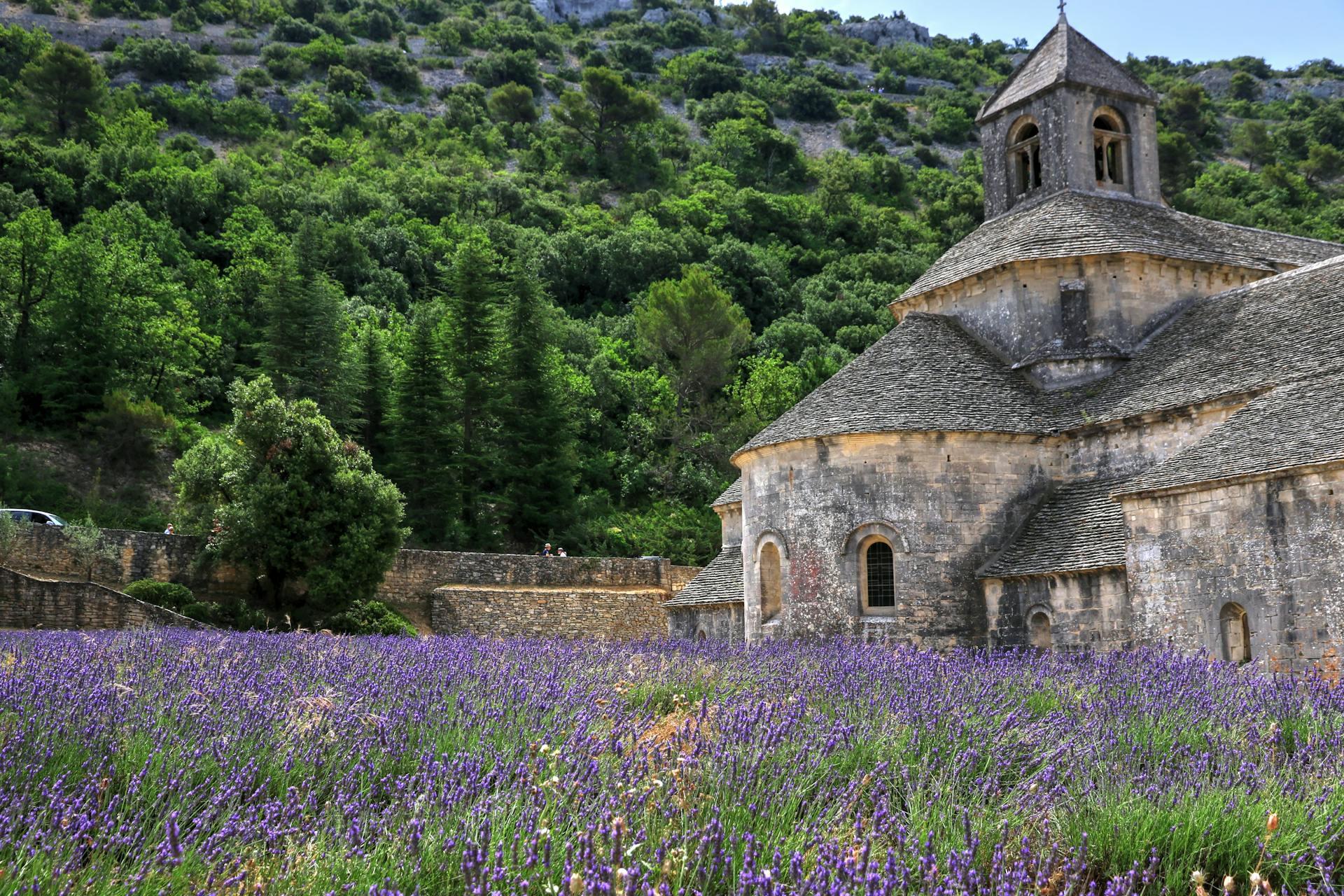lavender fields in Gordes, France