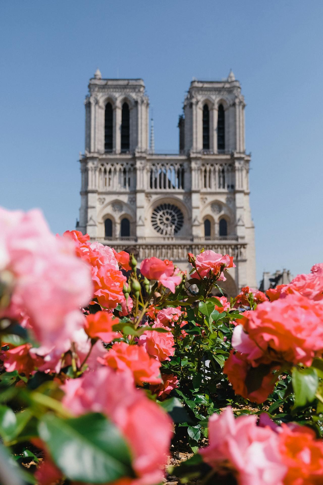 Notre Dame with flowers in the forefront