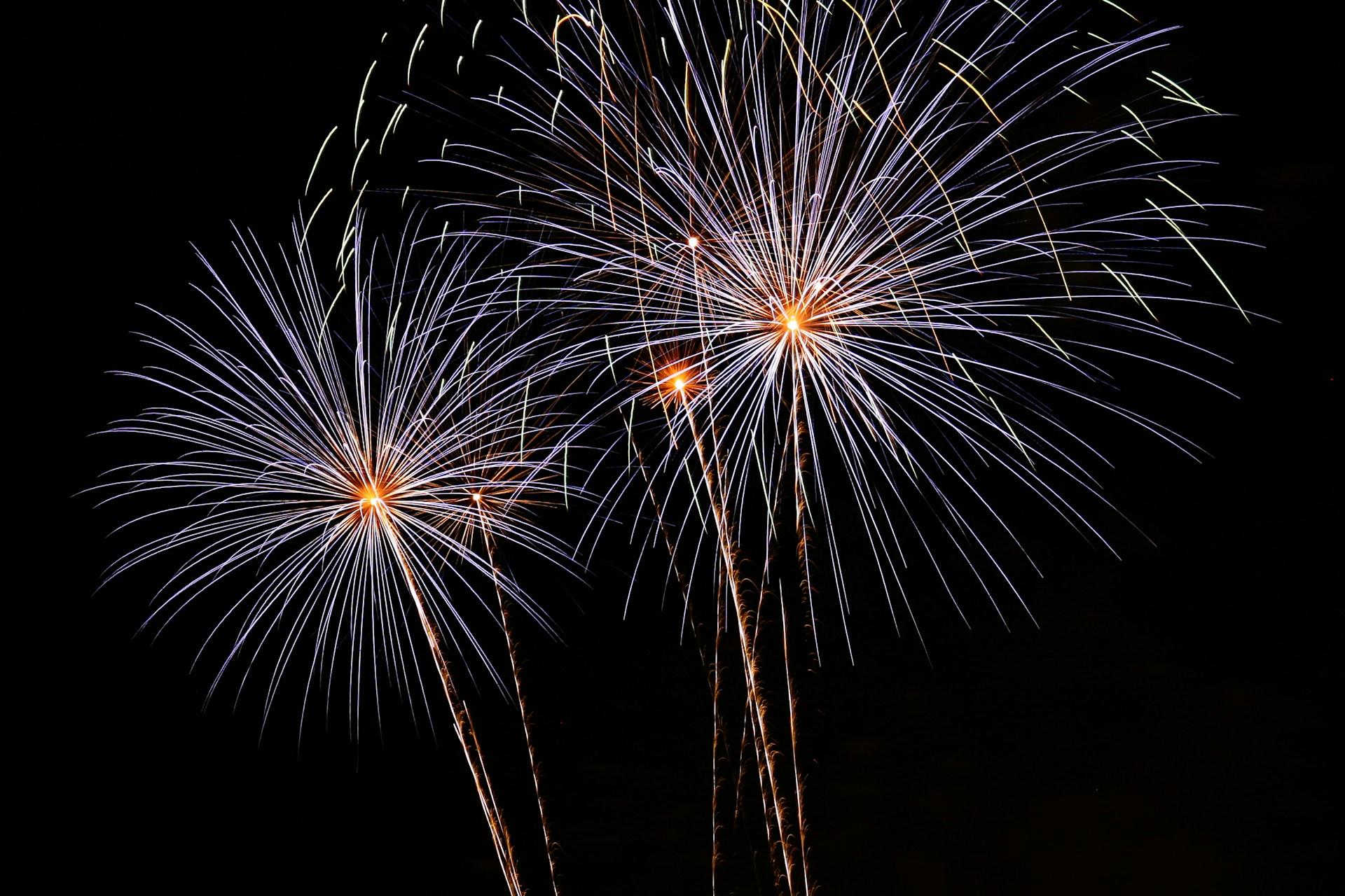 Crisp white fireworks blooms in the night sky. 