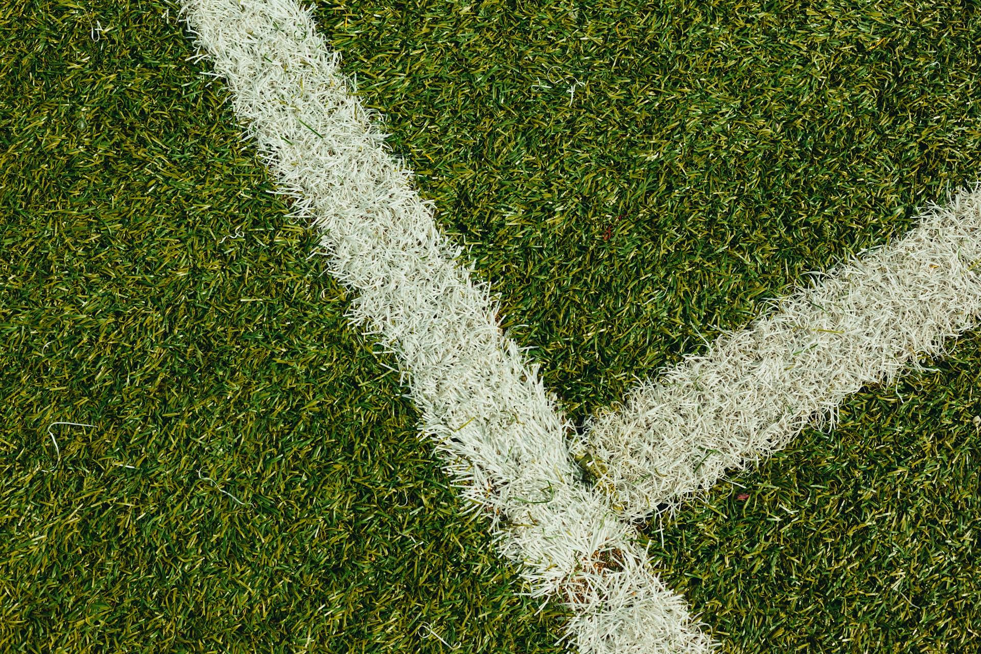 The grass of a tennis court.