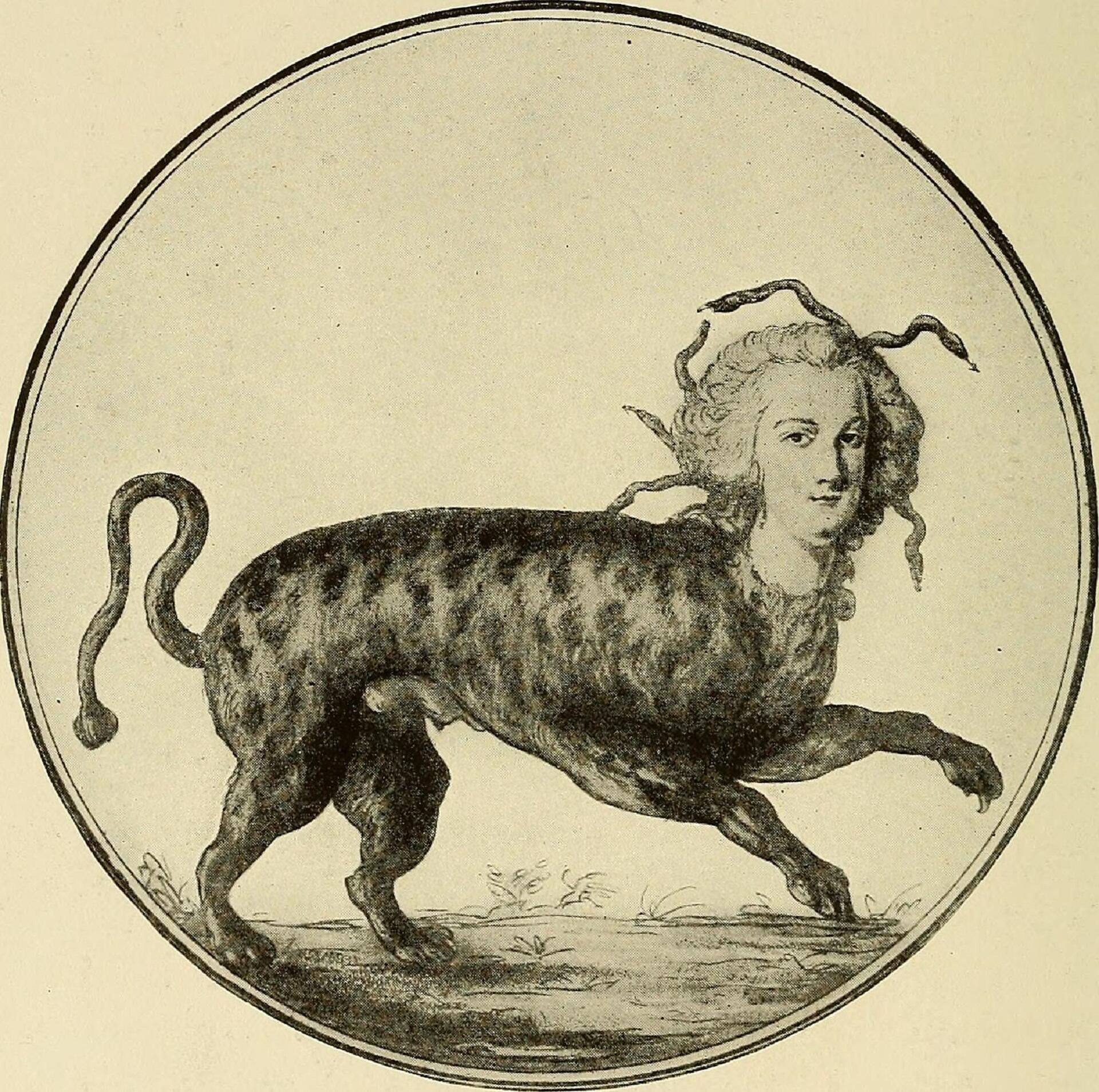 An animal with a woman's face pencil sketch.