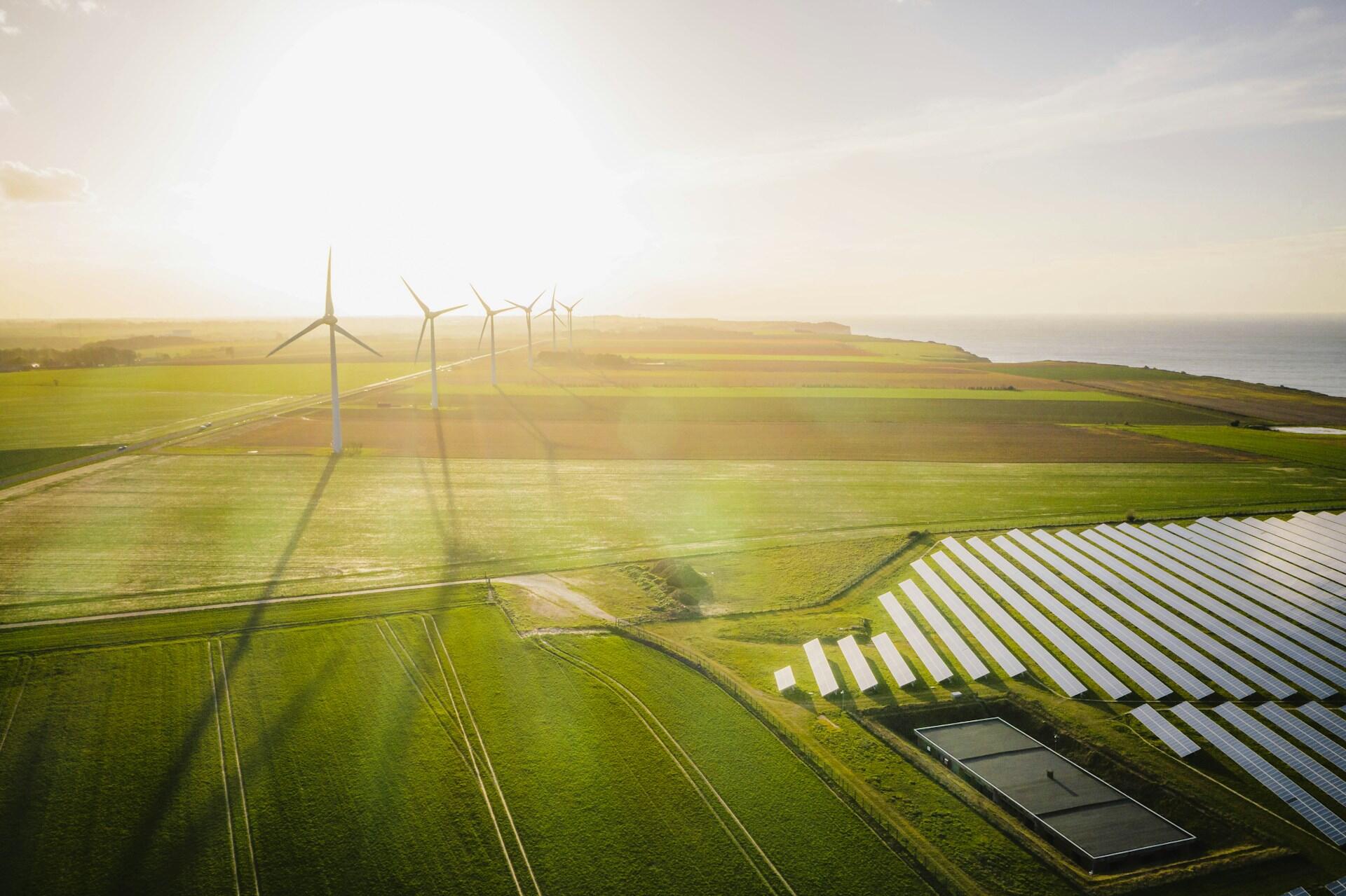 Wind turbines in a field on a sunny day.
