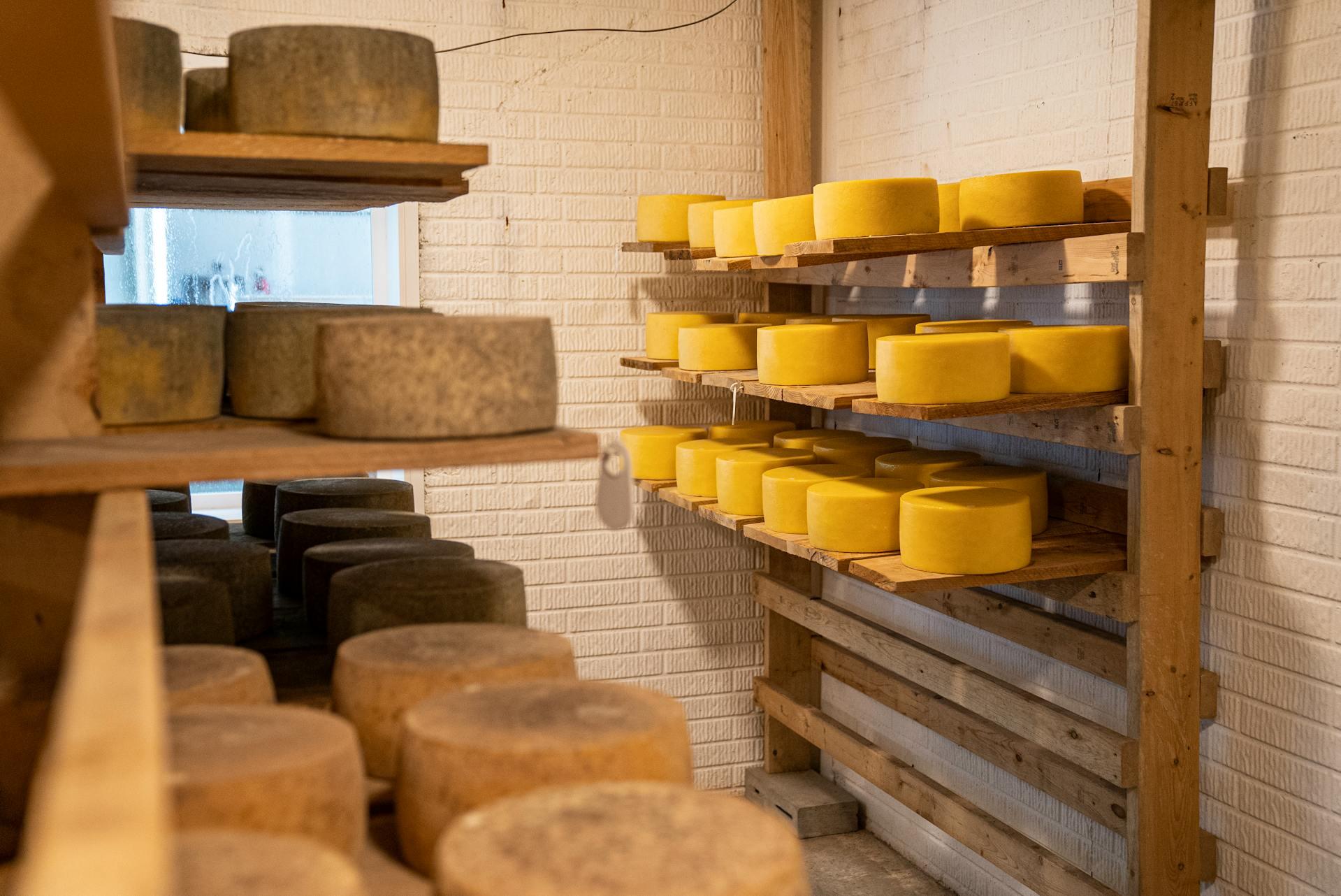 a cheese cellar full of cheese wheels aging