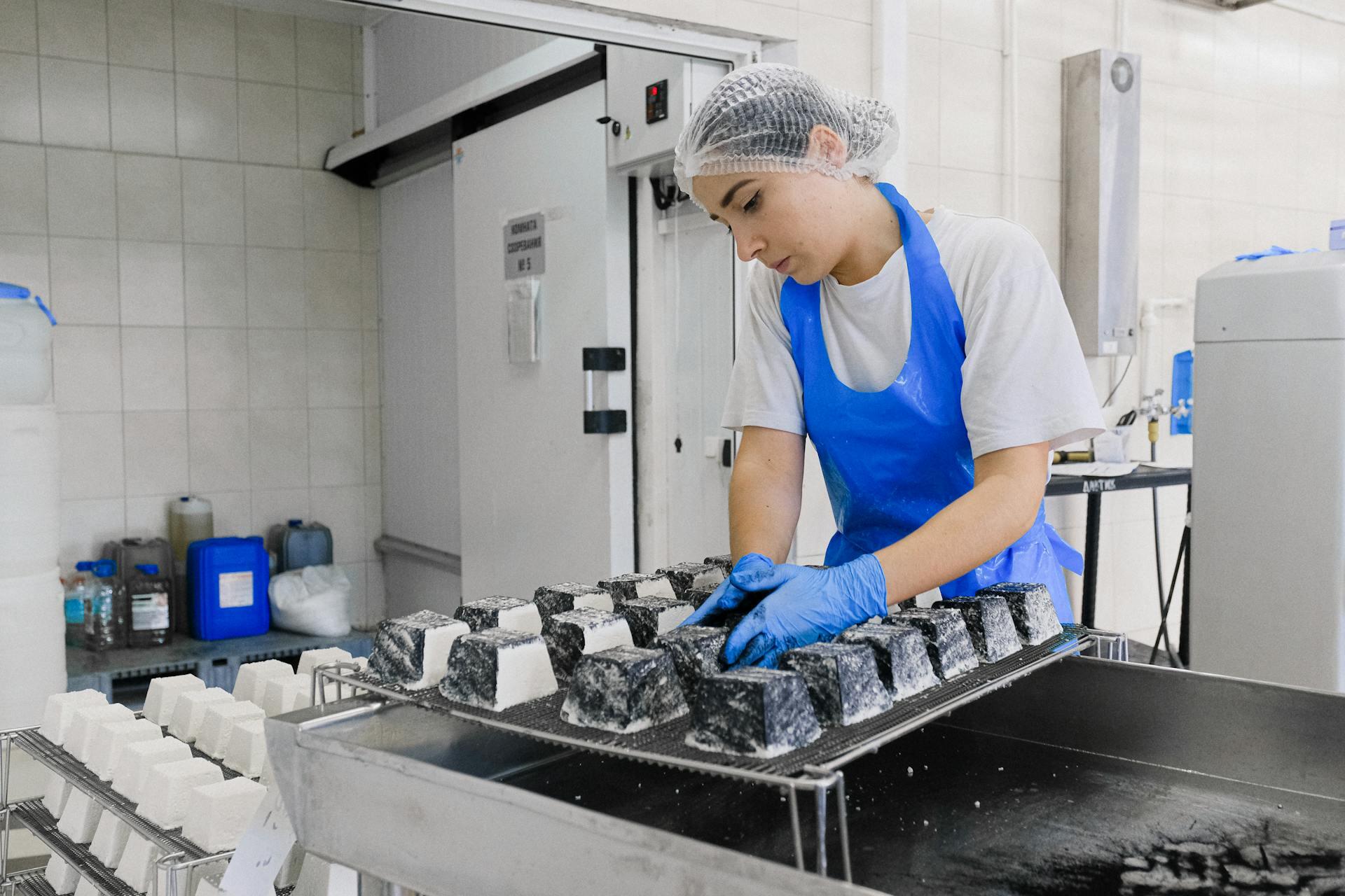 a food worker checking the quality of an aged cheese product