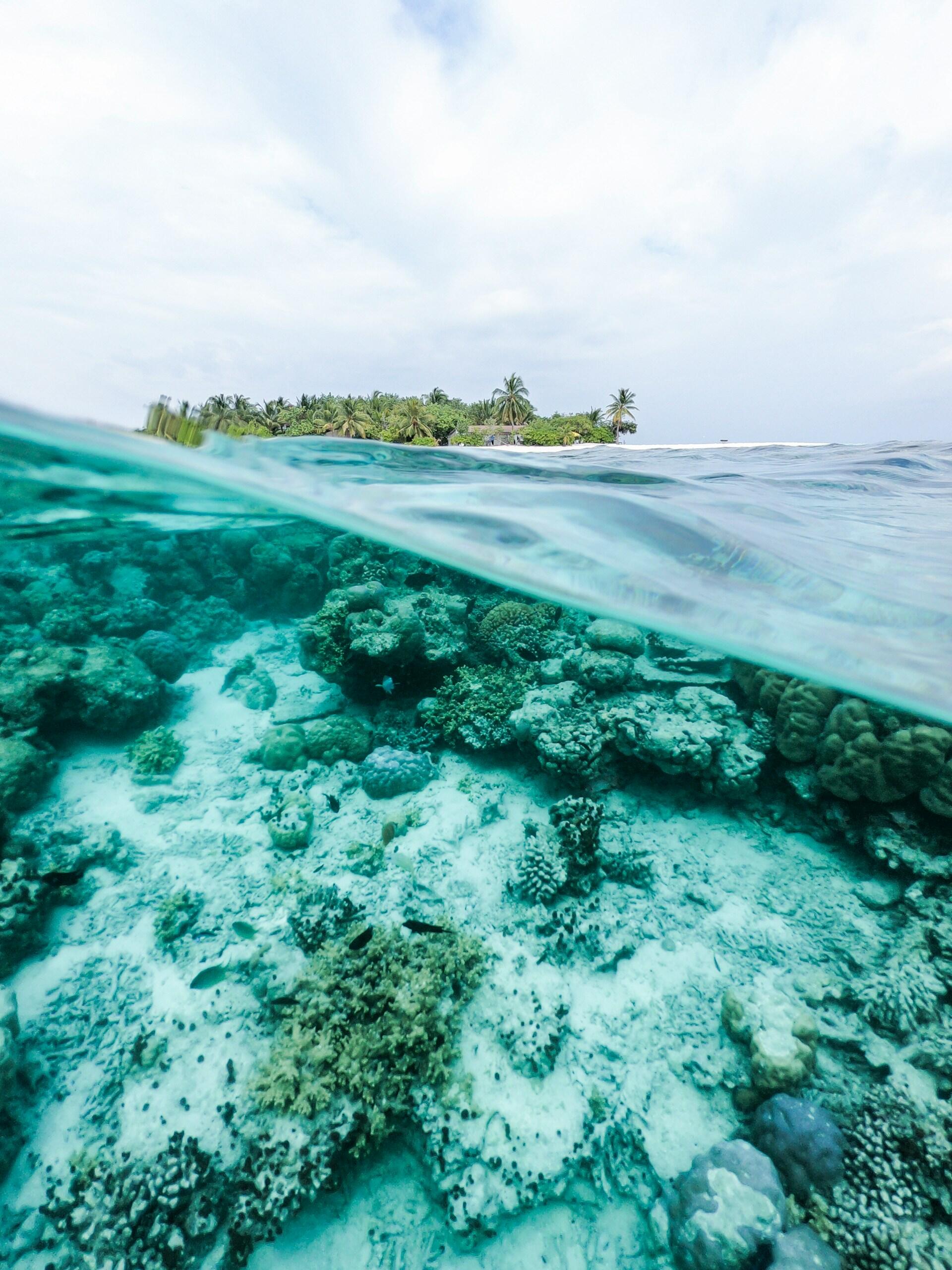 An ocean reef with an island in the distance.