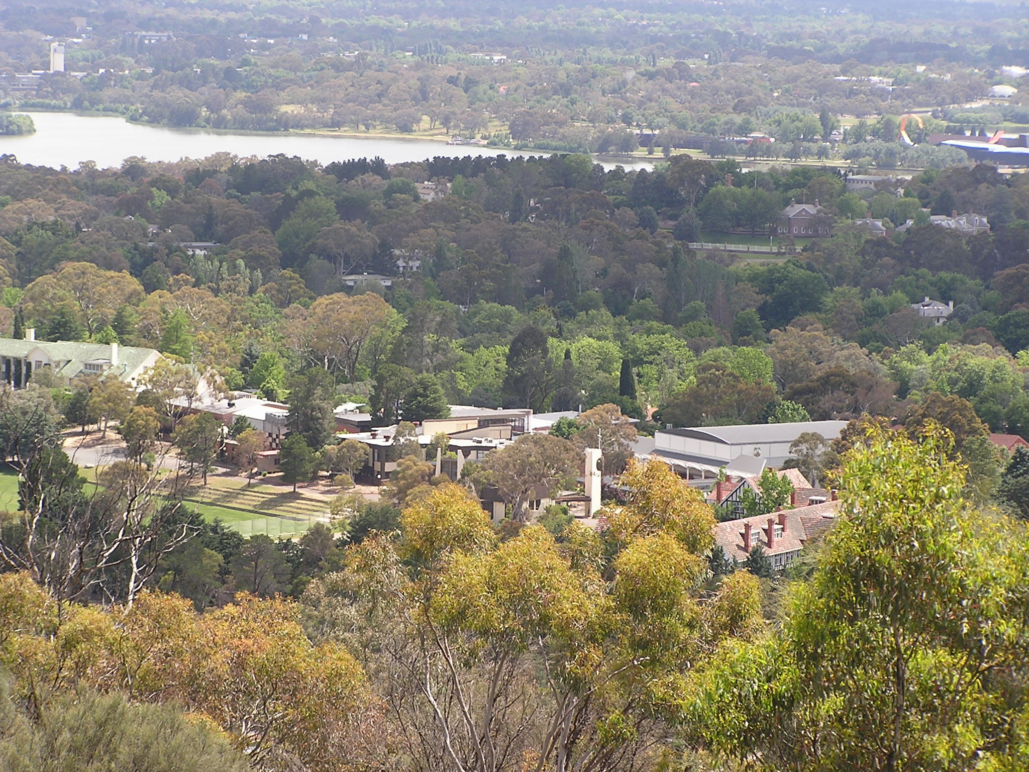 An aerial view of buildings and greenery.