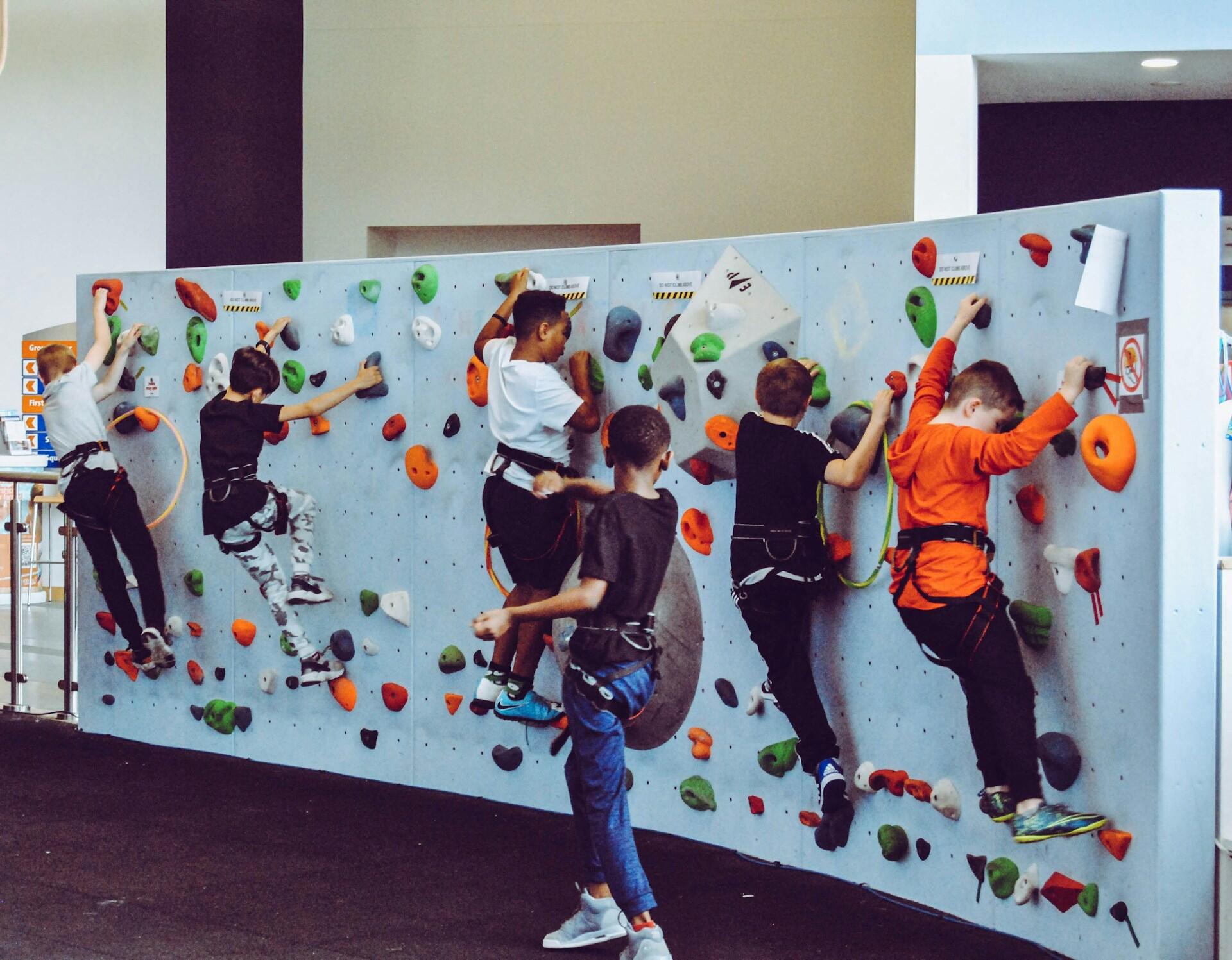 Children climb on a wall wearing harnesses. 