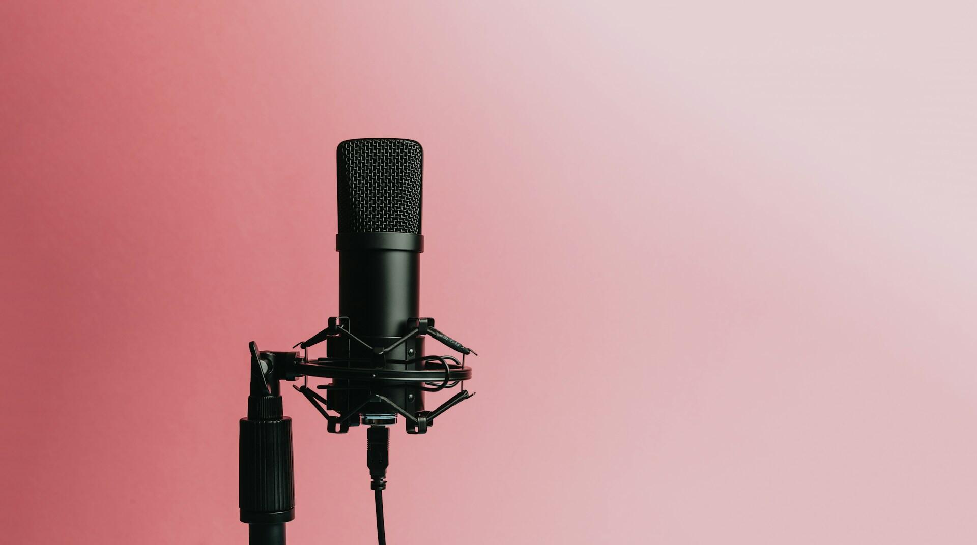 A close-up of a black microphone on a stand.