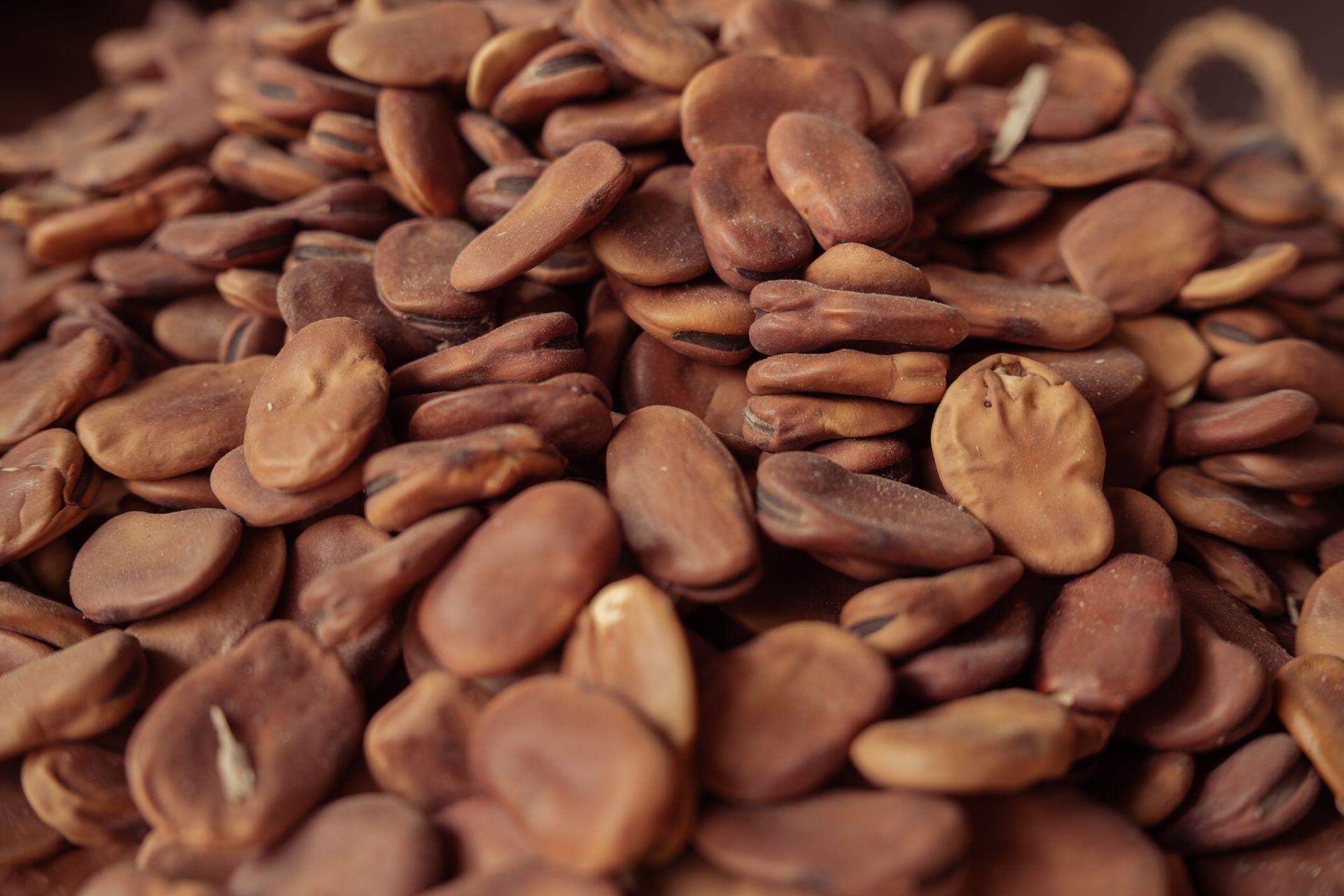 close up of carob beans, which are brown and oval-like