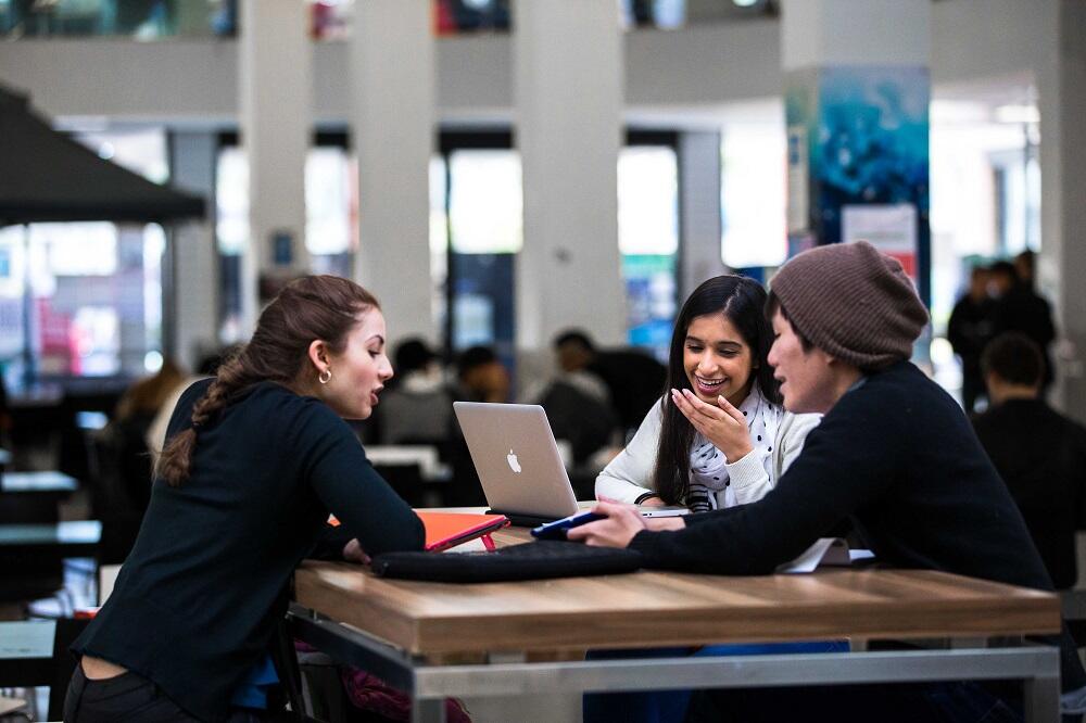 UC has a variety of programming courses for you to discover