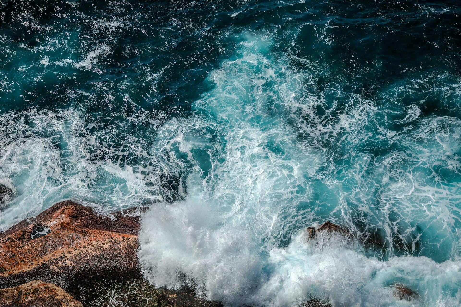 A view over Dee Why Head in North Curl Curl, Australia.