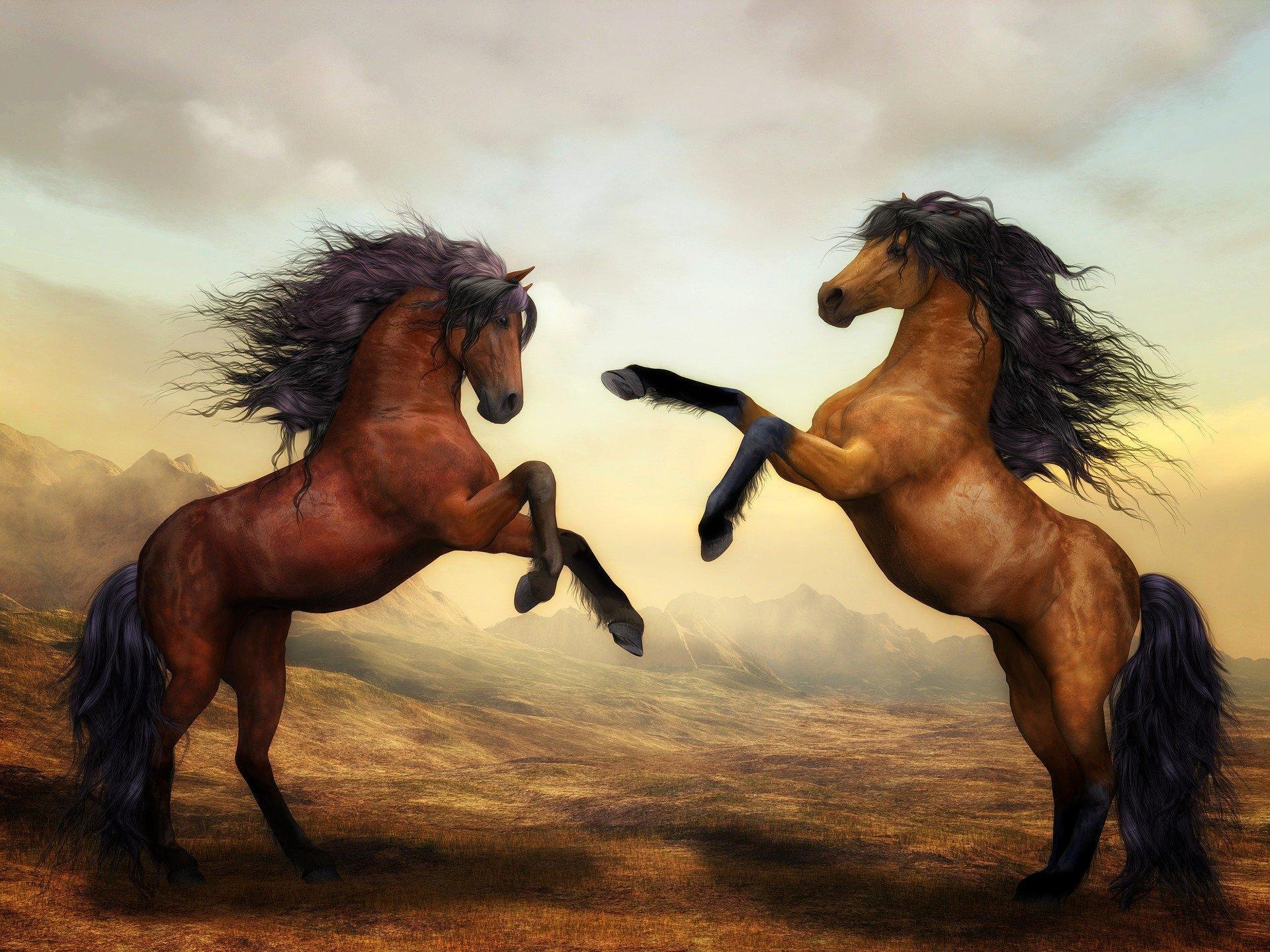 How can you draw horses?