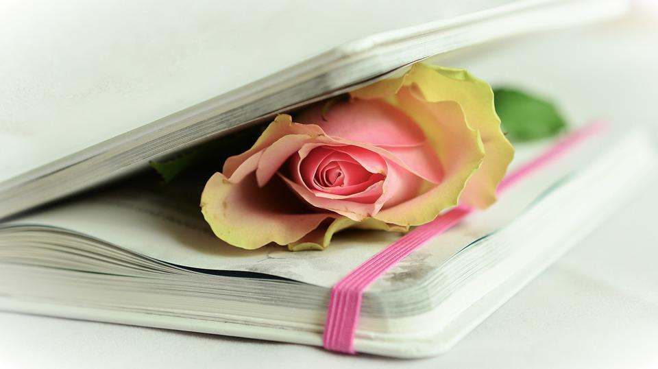 A book with a pink and yellow flower inserted between the pages. There are a number of poetry books for kids out there.