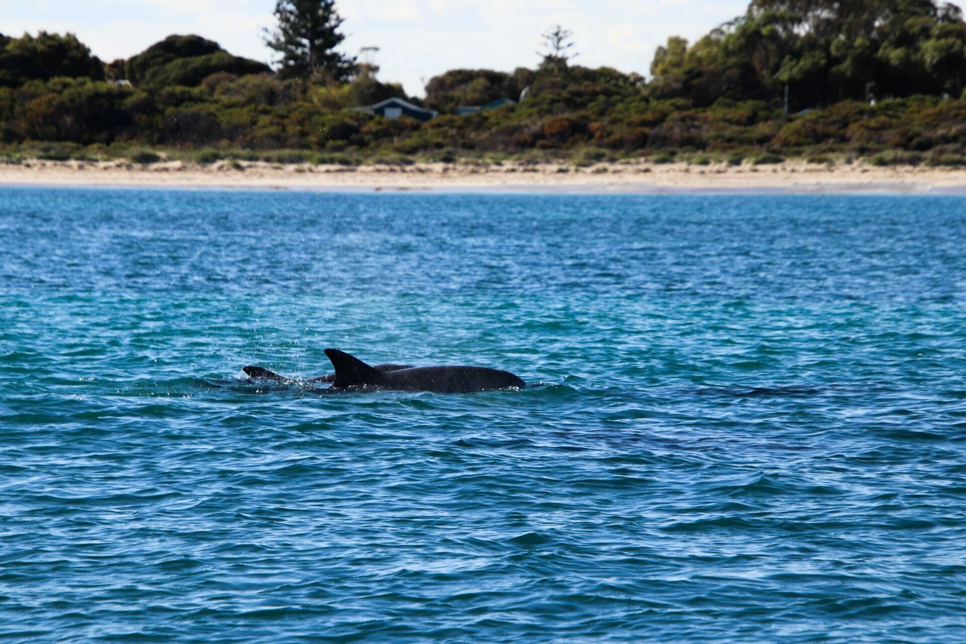 Secret Harbor in Western Australia.