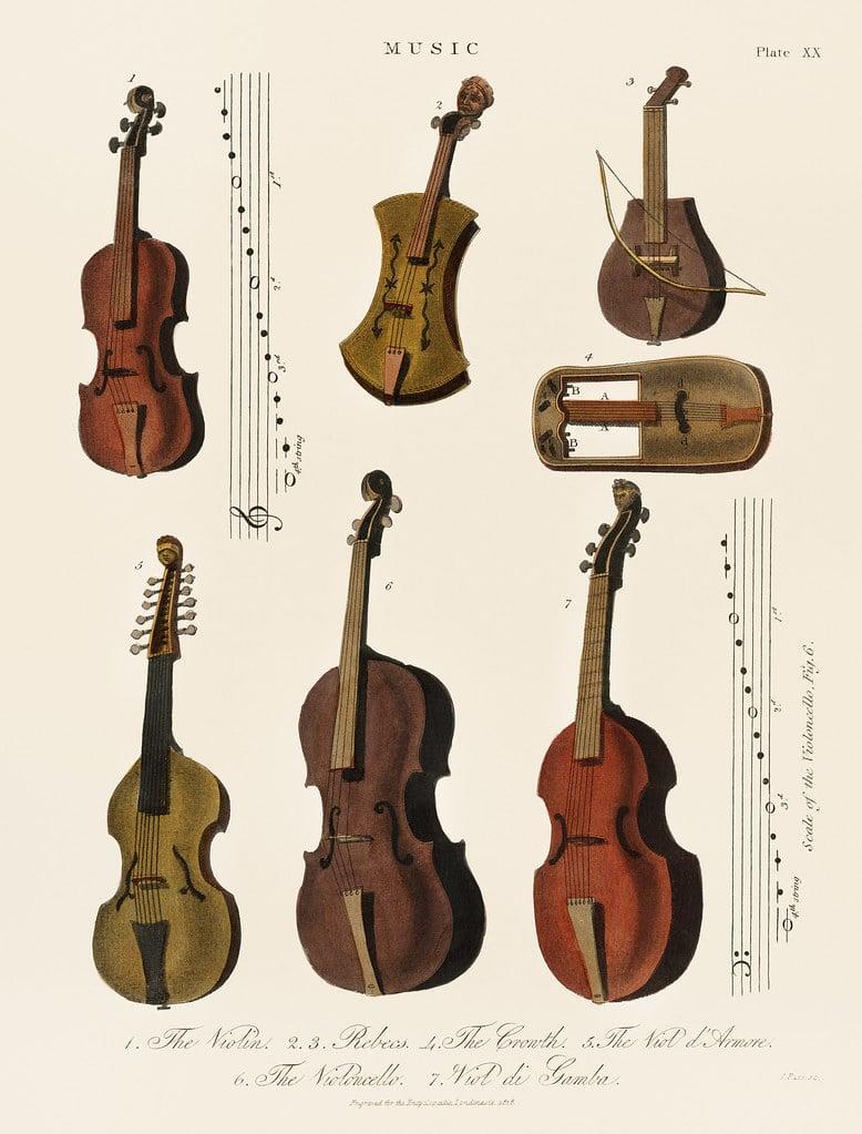 The violin family comprises of a variety of instruments.