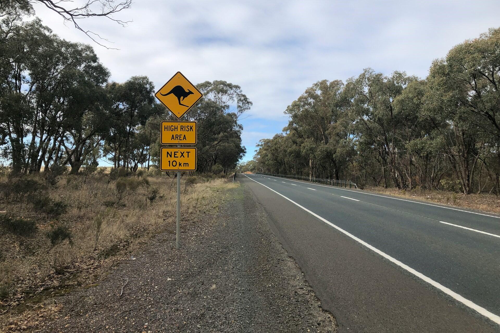 A road leading to Bendigo.
